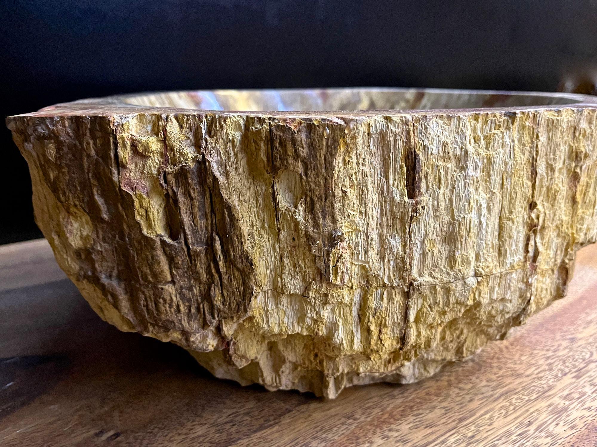 Petrified Wood Sink In Beige/ Brown/ Yellow Tones - Polished, Top Quality, IDN For Sale 2