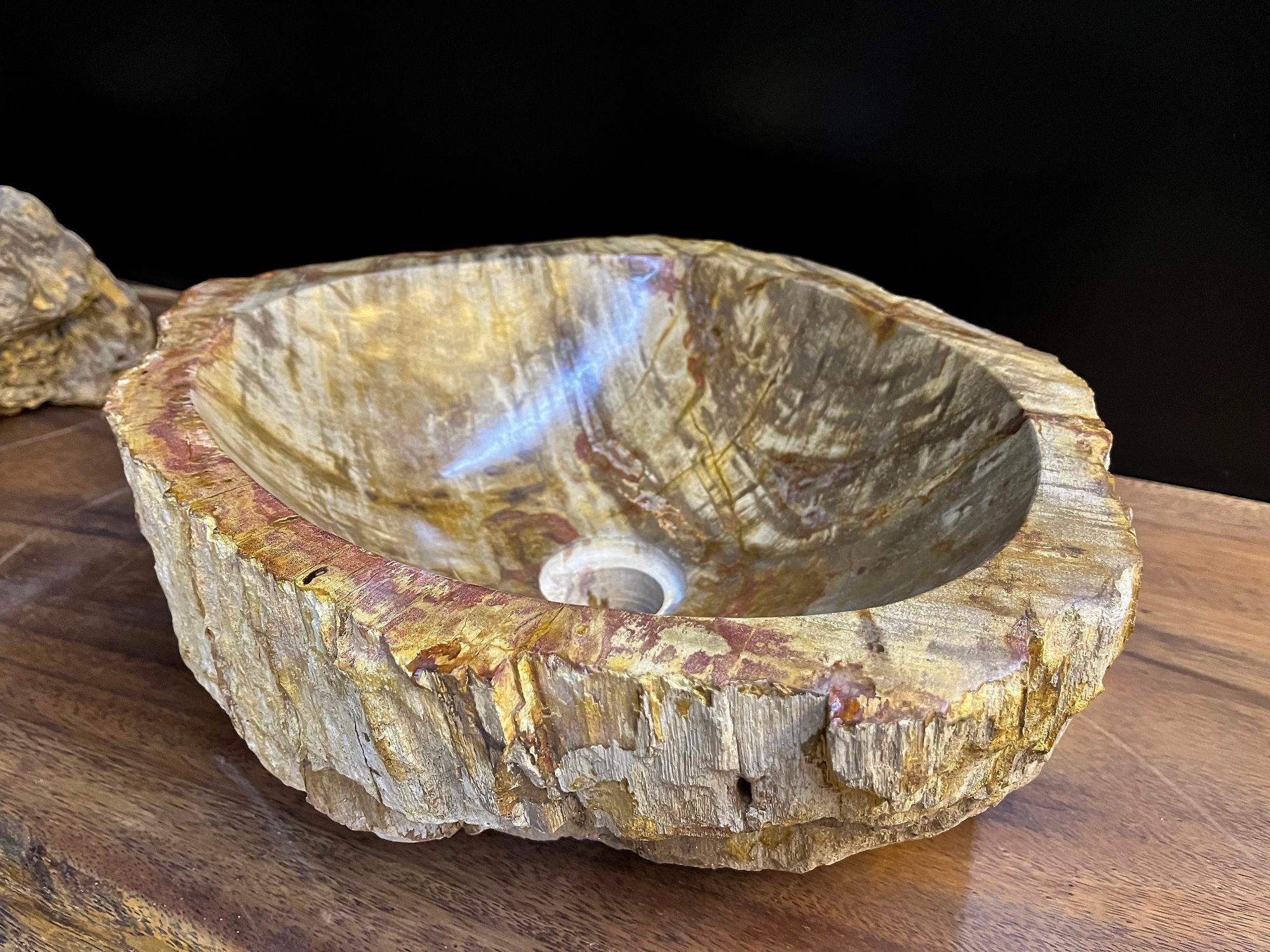 Petrified Wood Sink In Beige/ Brown/ Yellow Tones - Polished, Top Quality, IDN For Sale 3