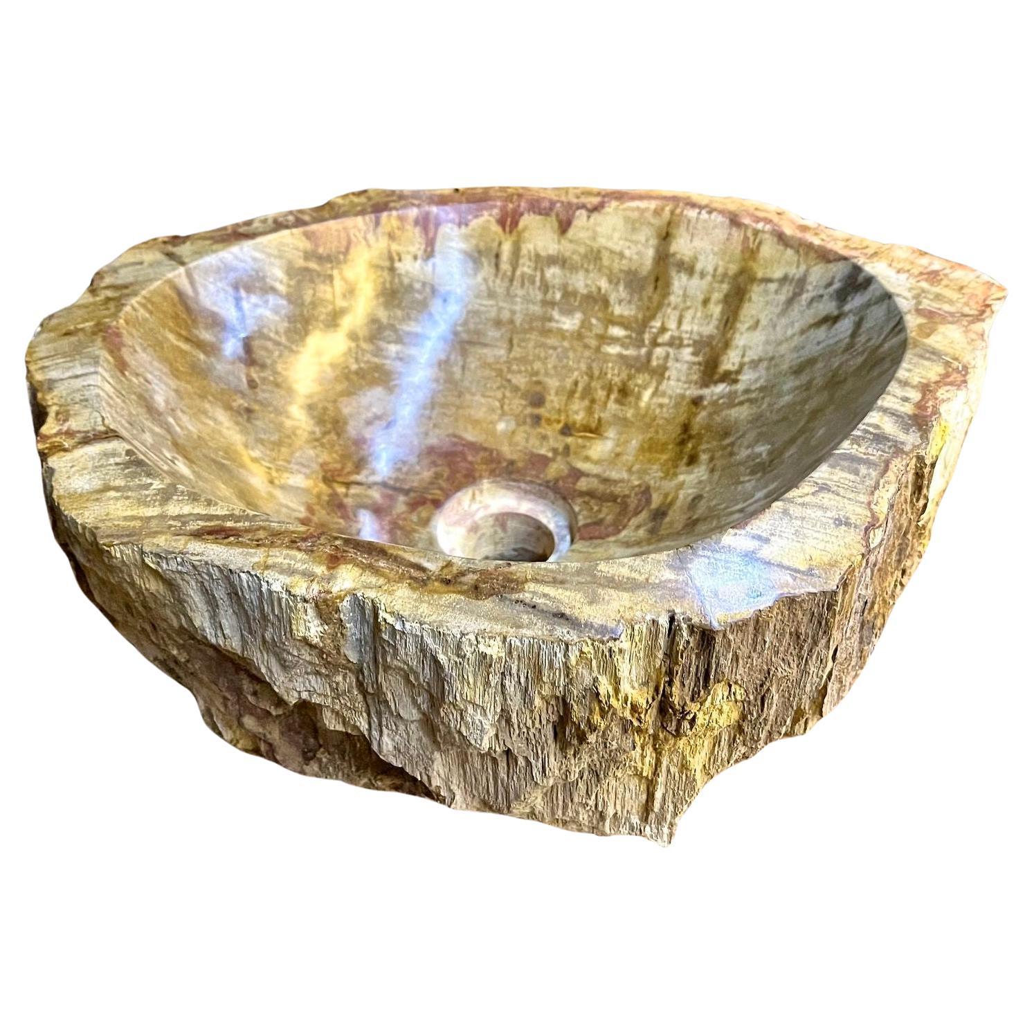 Petrified Wood Sink In Beige/ Brown/ Yellow Tones - Polished, Top Quality, IDN For Sale