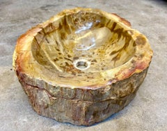 Petrified Wood Sink In Beige/ Brown/ Yellow Tones, Top Quality, IDN 2025