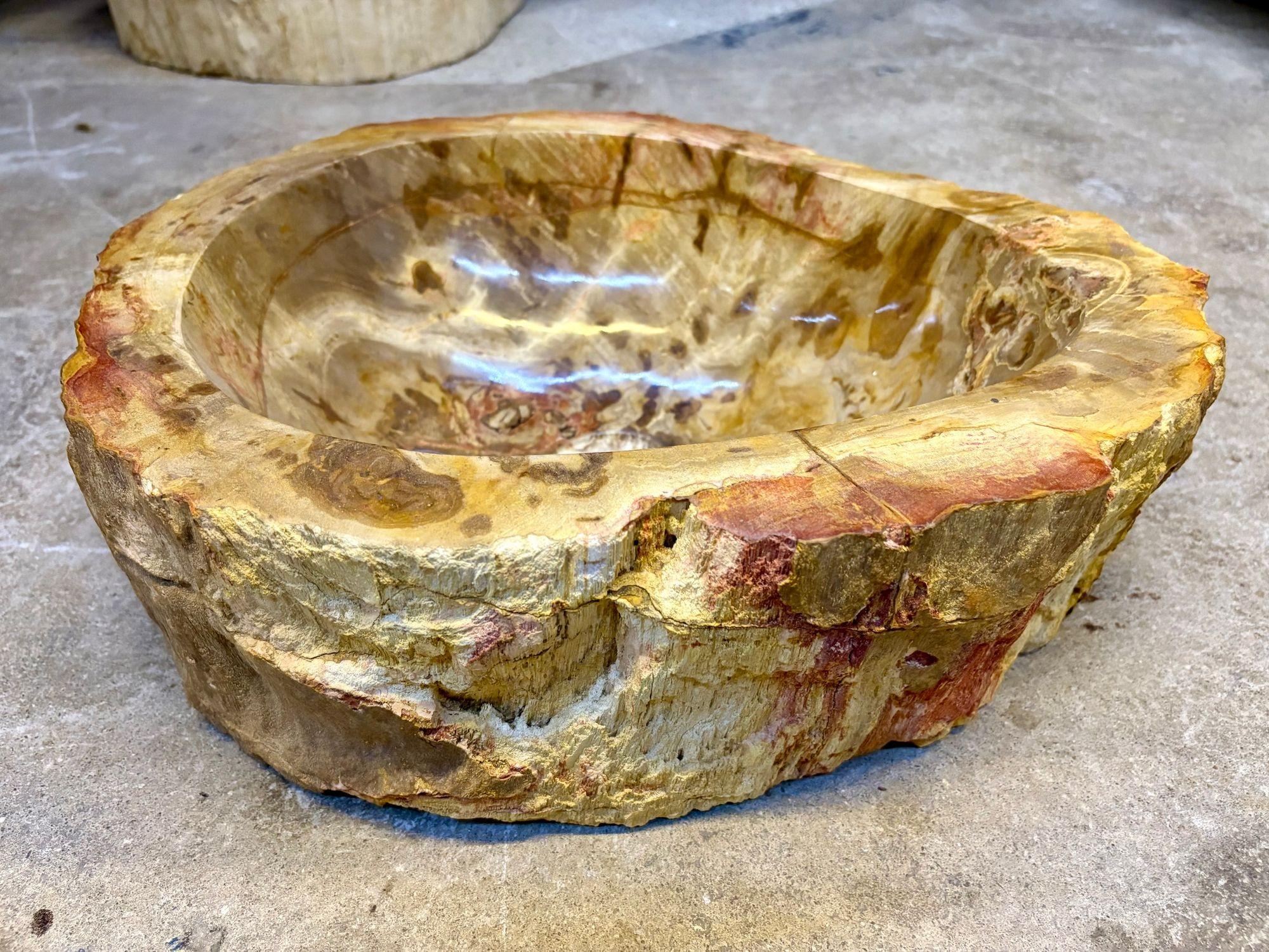 Waschbecken aus versteinertem Holz in Beige/Braun/Gelbtönen, Spitzenqualität, IDN 2025 (Organische Moderne) im Angebot