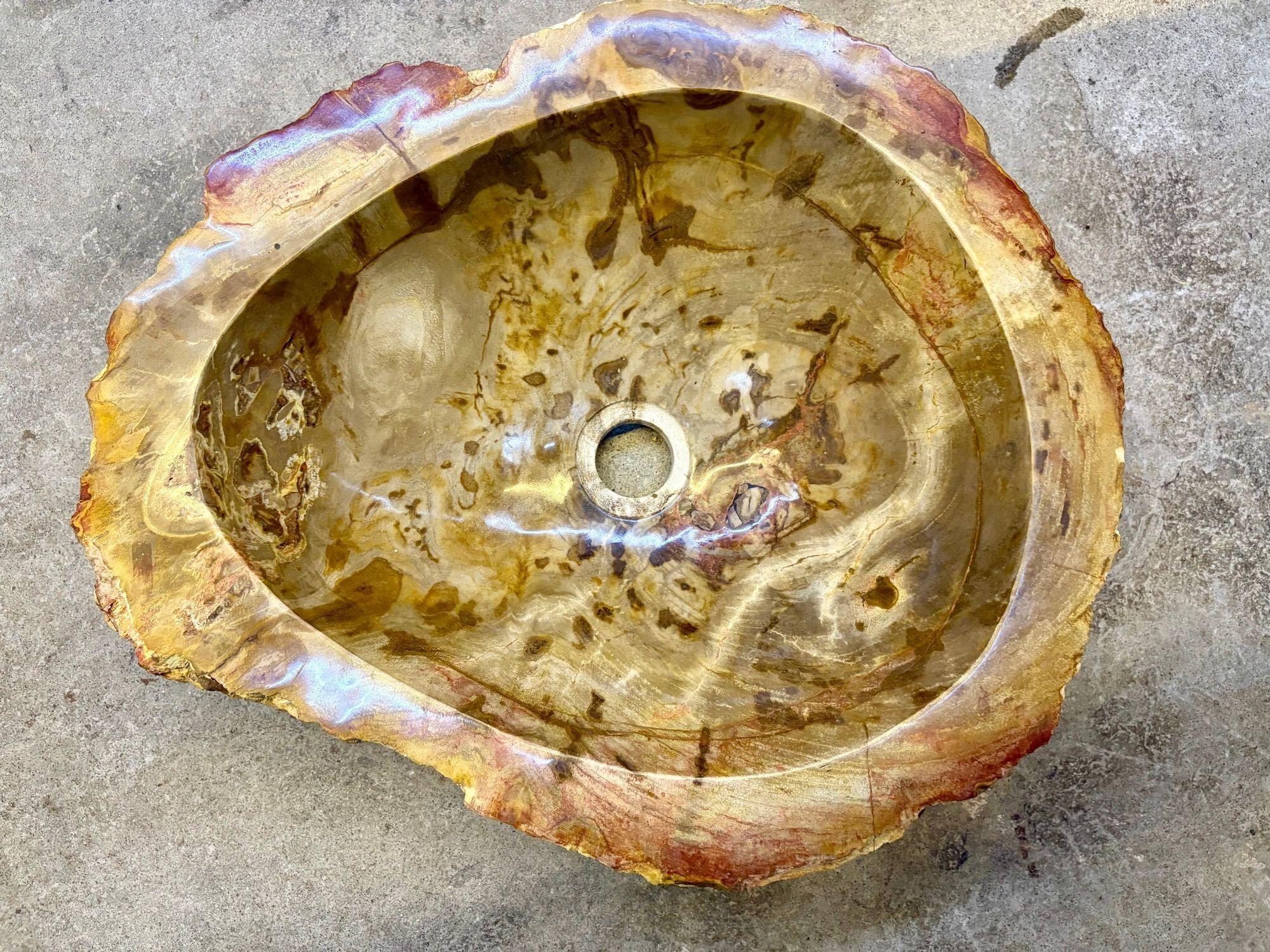 Waschbecken aus versteinertem Holz in Beige/Braun/Gelbtönen, Spitzenqualität, IDN 2025 im Zustand „Neu“ im Angebot in Lichtenberg, AT