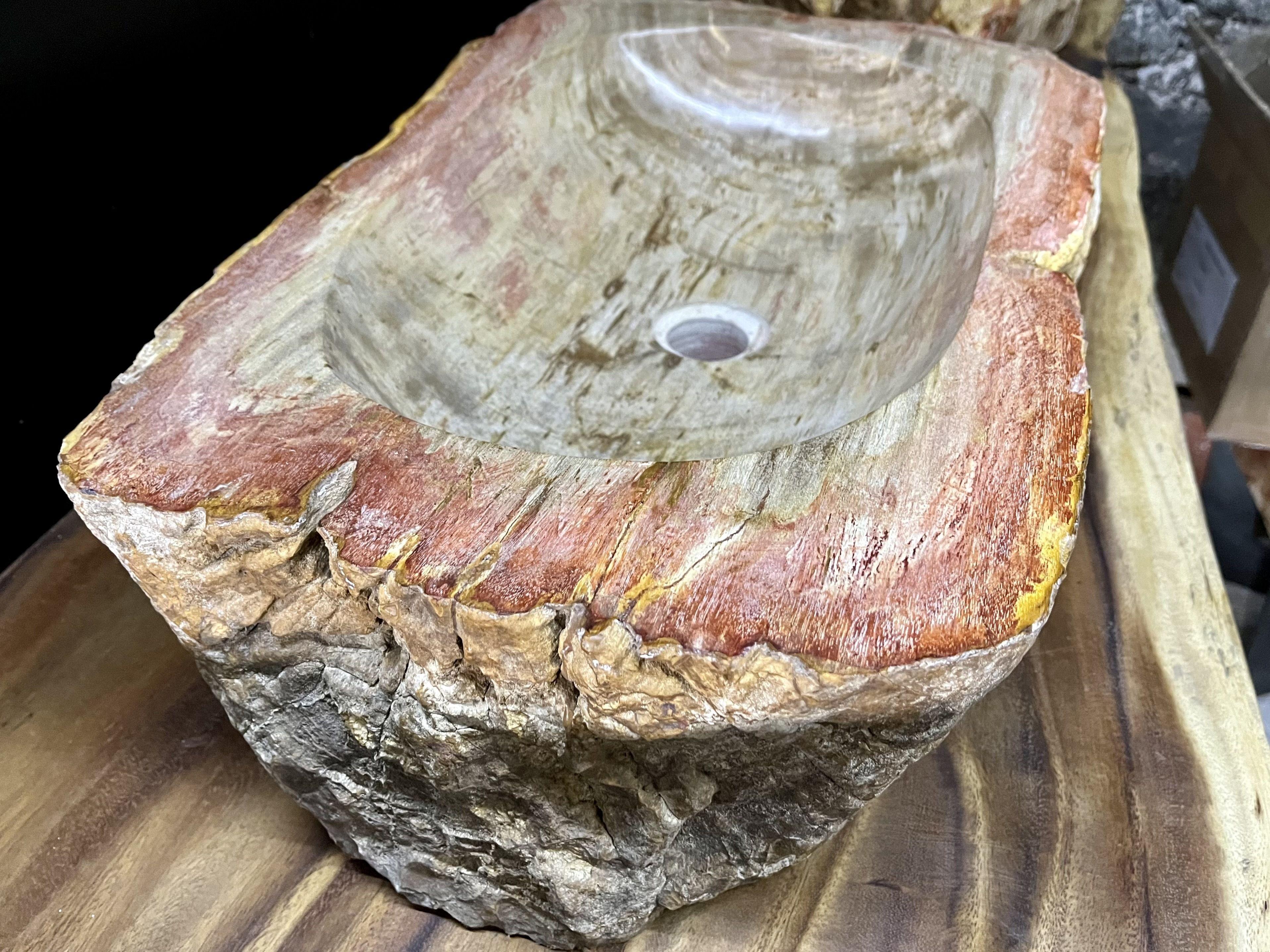 Petrified Wood Sink in Beige / Grey / Red / Yellow Tones, Organic Modern For Sale 6