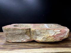 Petrified Wood Sink in Beige / Grey / Red / Yellow Tones, Organic Modern