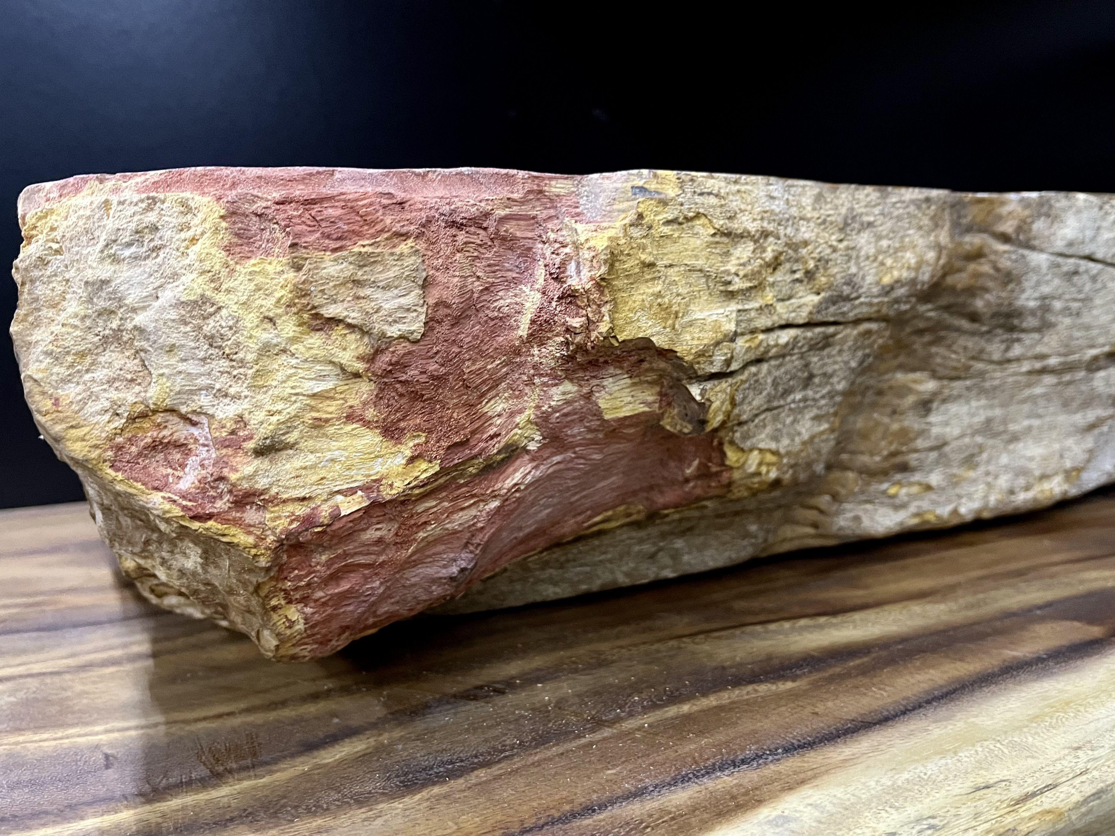 Petrified Wood Sink in Beige / Grey / Red / Yellow Tones, Organic Modern In Excellent Condition For Sale In Lichtenberg, AT