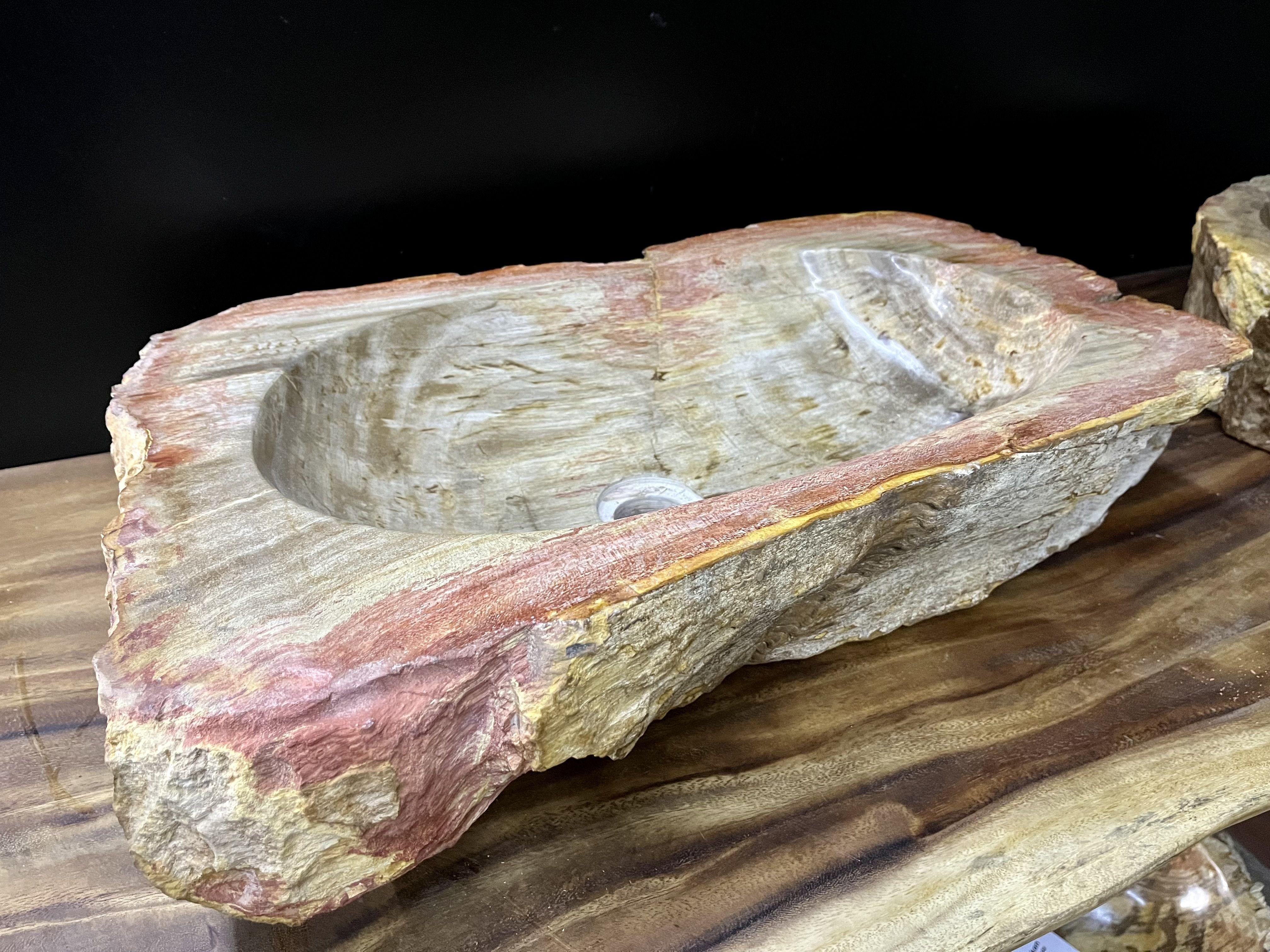Contemporary Petrified Wood Sink in Beige / Grey / Red / Yellow Tones, Organic Modern For Sale