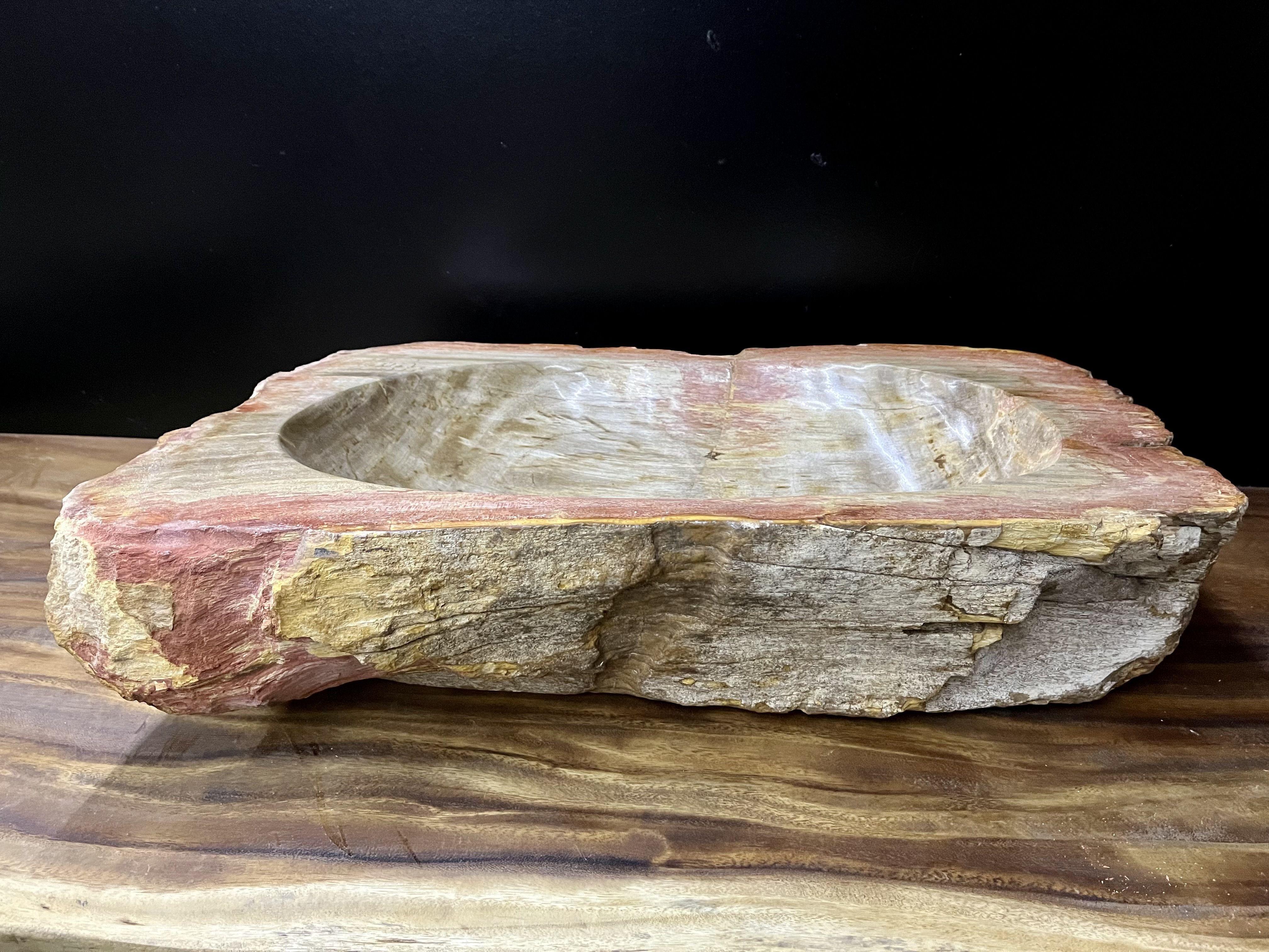 Petrified Wood Sink in Beige / Grey / Red / Yellow Tones, Organic Modern For Sale 1