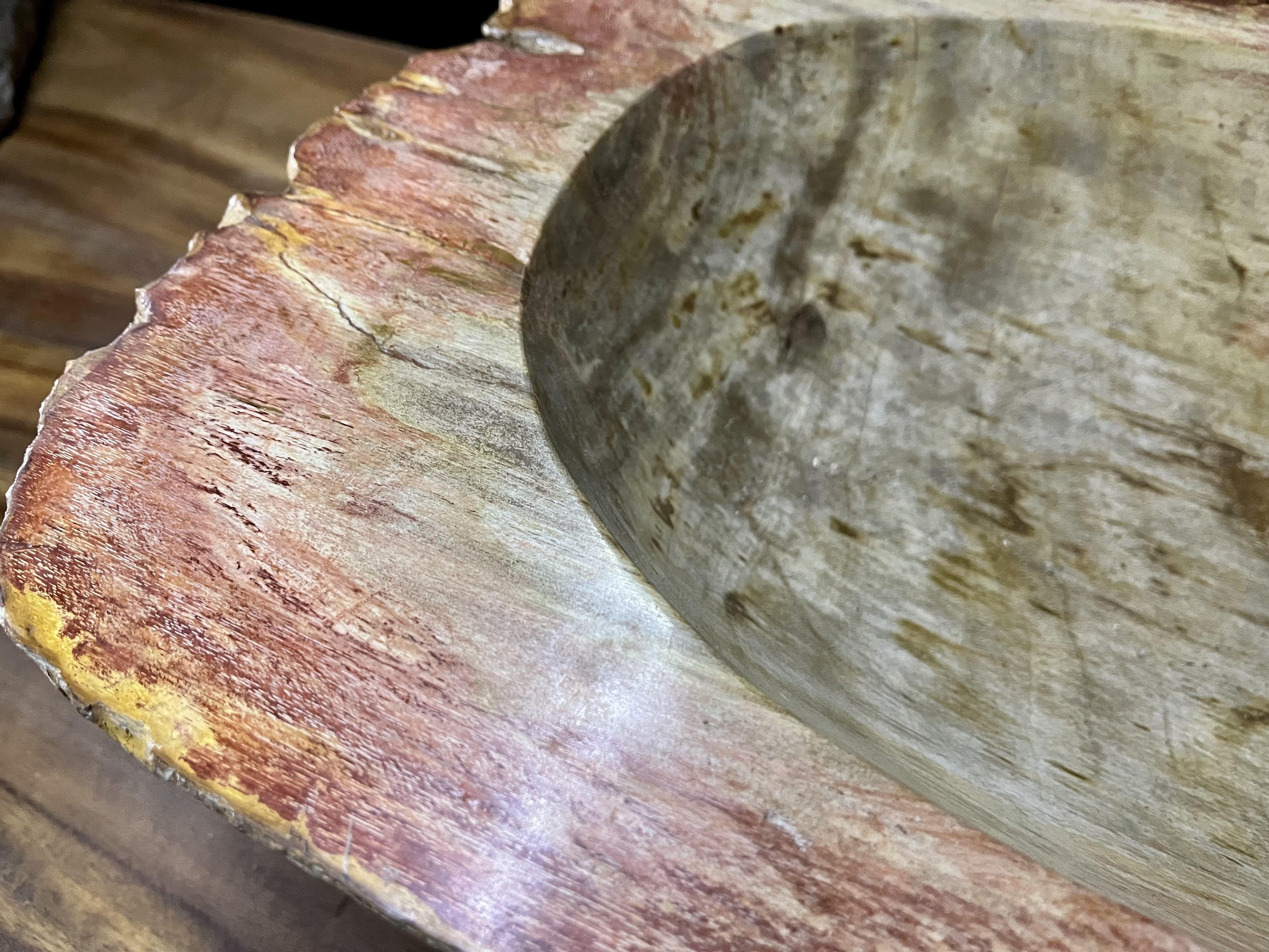 Petrified Wood Sink in Beige / Grey / Red / Yellow Tones, Organic Modern For Sale 2