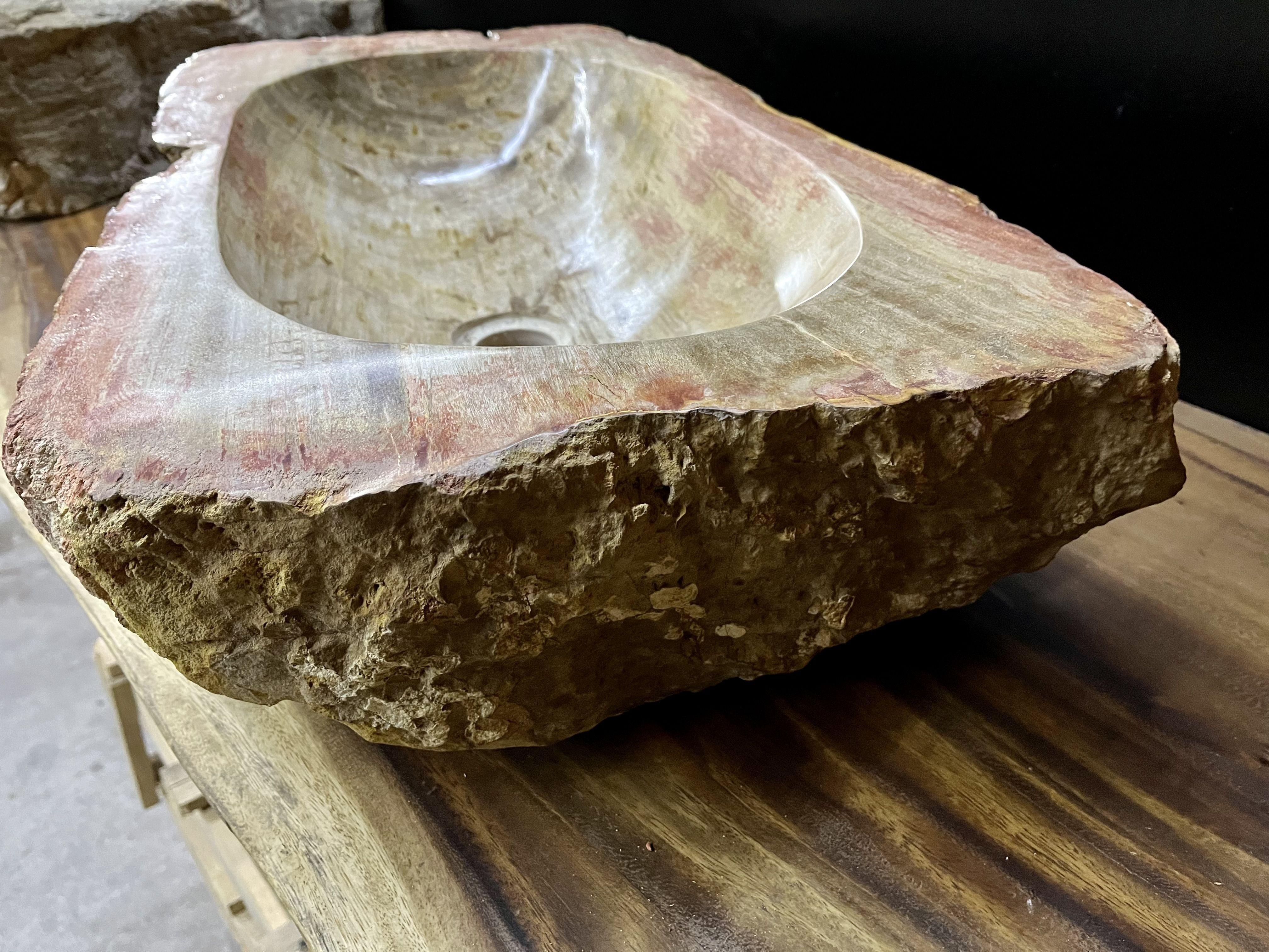 Petrified Wood Sink in Beige / Grey / Red / Yellow Tones, Organic Modern For Sale 4