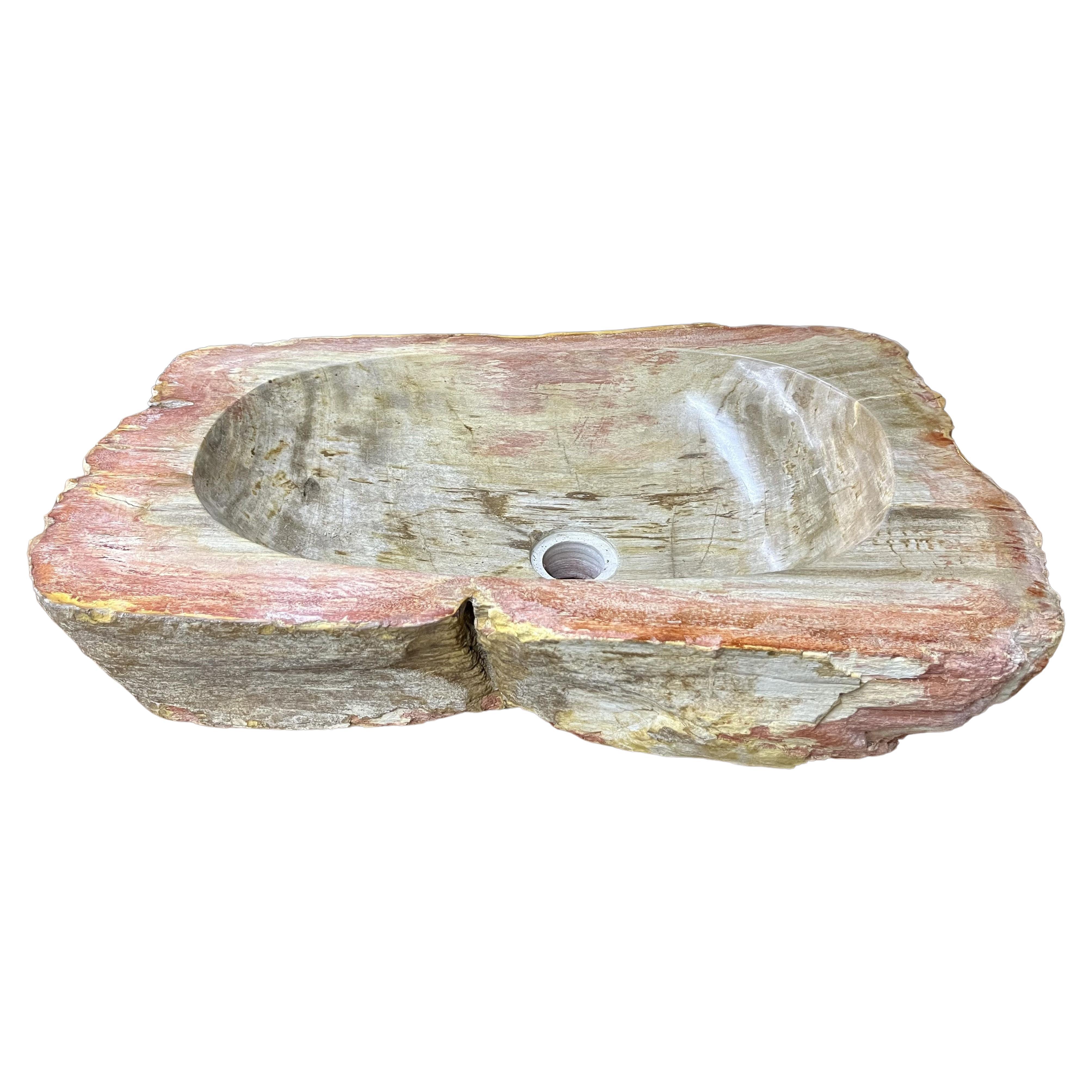 Petrified Wood Sink in Beige / Grey / Red / Yellow Tones, Organic Modern