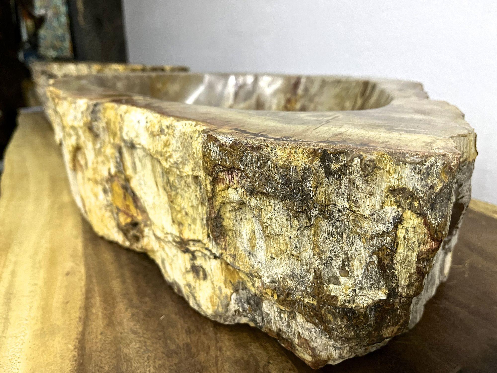 Petrified Wood Sink in Beige/ Yellow/ Brown Tones Polished, Top Quality For Sale 3