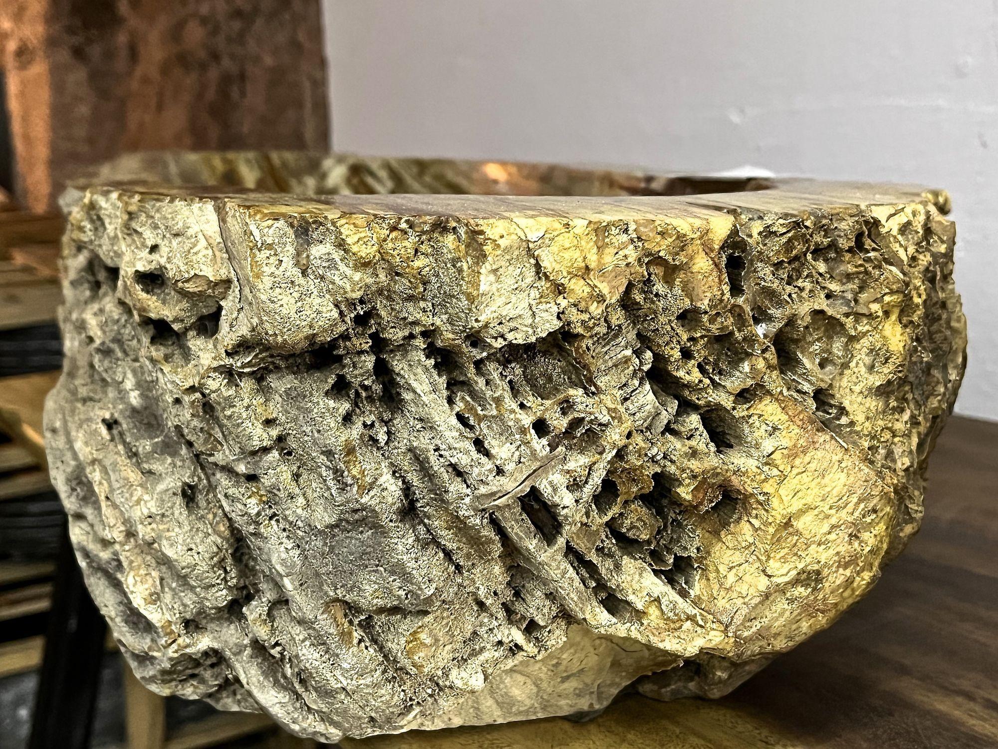 Petrified Wood Sink in Beige/ Yellow/ Brown Tones Polished, Top Quality For Sale 4