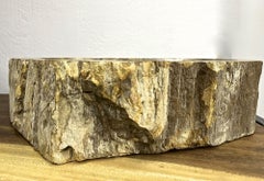 Petrified Wood Sink in Beige/ Yellow/ Brown Tones Polished, Top Quality