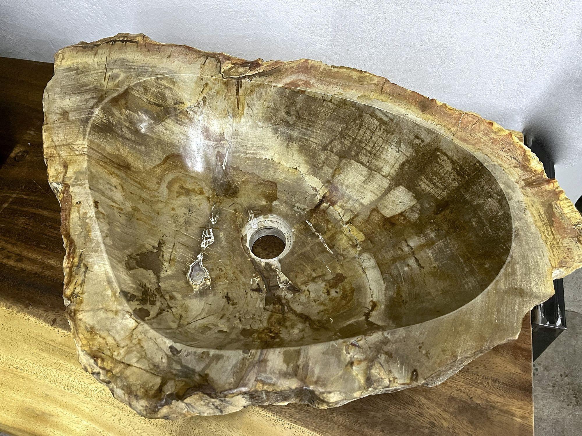 Petrified Wood Sink in Beige/ Gelb/ Brauntönen poliert, Top-Qualität (Organische Moderne) im Angebot
