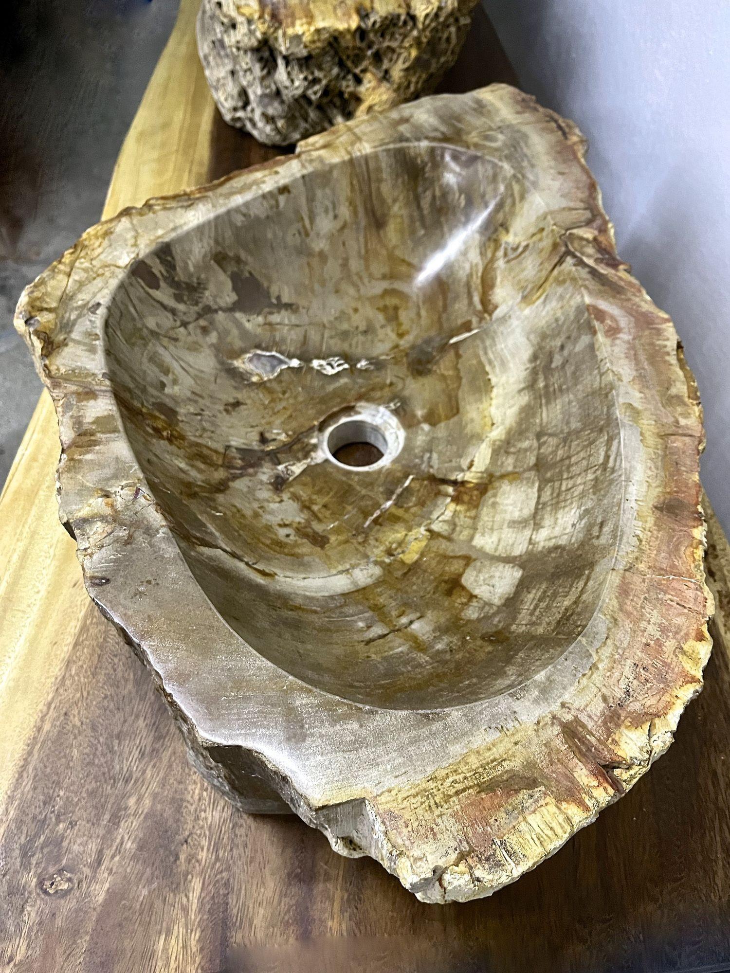 Indonesian Petrified Wood Sink in Beige/ Yellow/ Brown Tones Polished, Top Quality For Sale