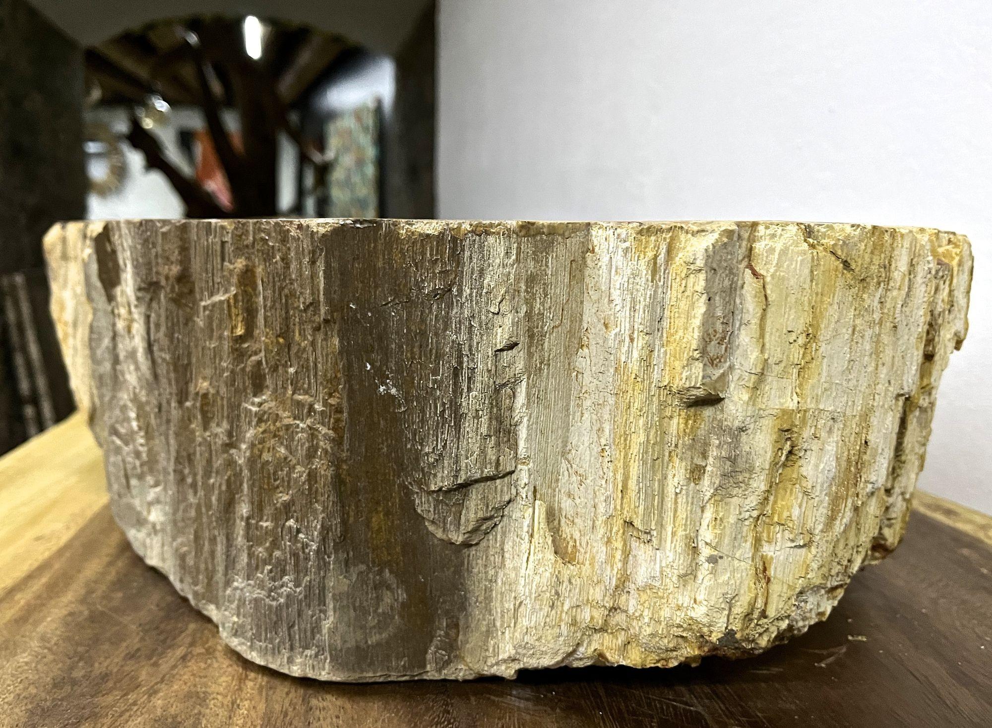 Petrified Wood Sink in Beige/ Yellow/ Brown Tones Polished, Top Quality In Excellent Condition For Sale In Lichtenberg, AT