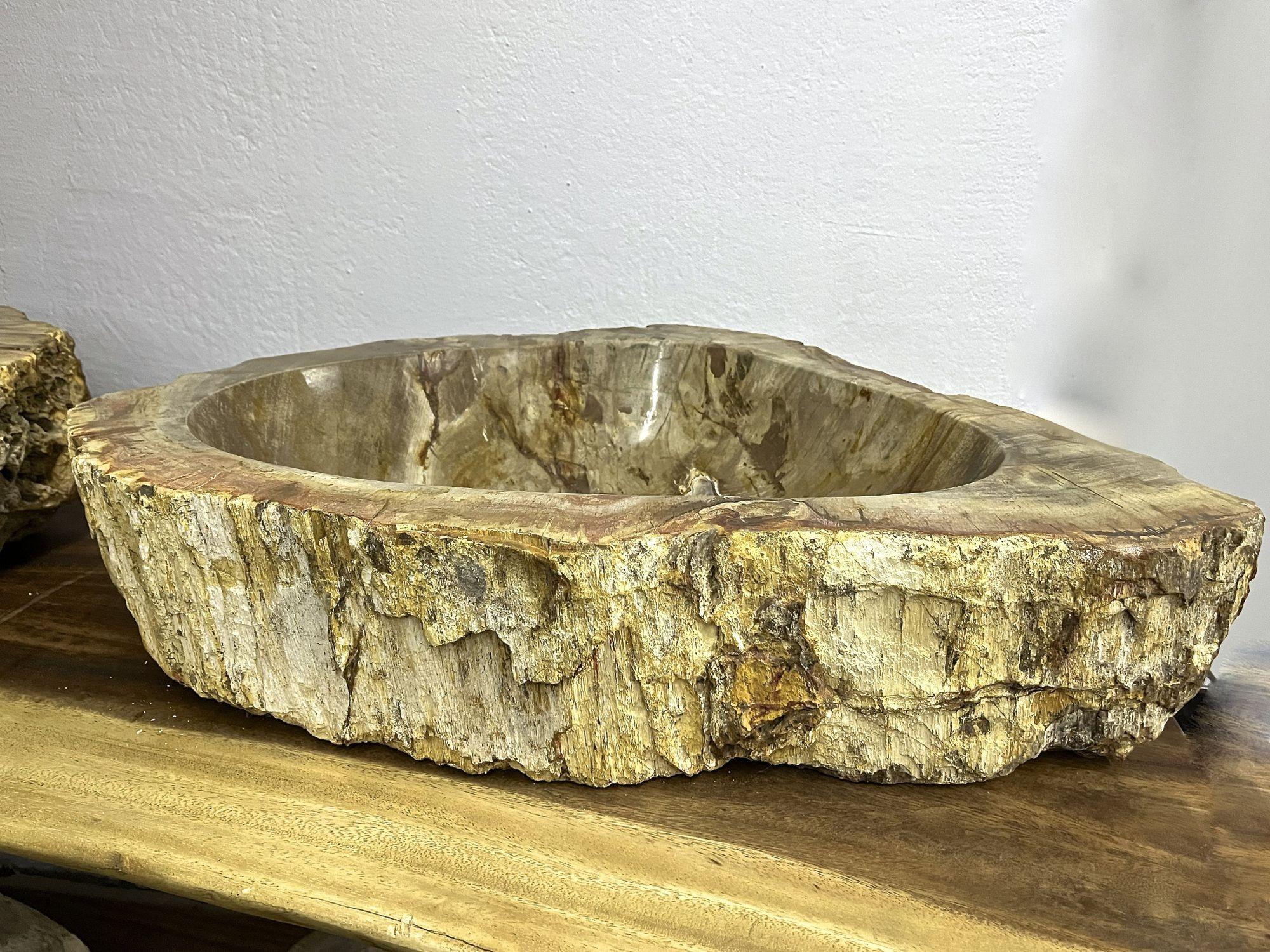 Contemporary Petrified Wood Sink in Beige/ Yellow/ Brown Tones Polished, Top Quality For Sale