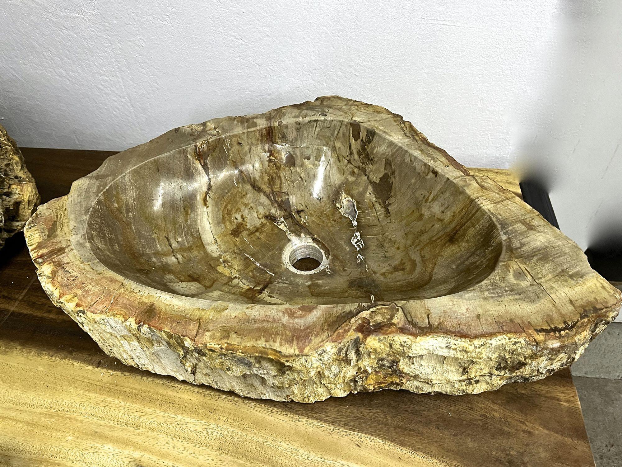 Petrified Wood Sink in Beige/ Yellow/ Brown Tones Polished, Top Quality For Sale 1