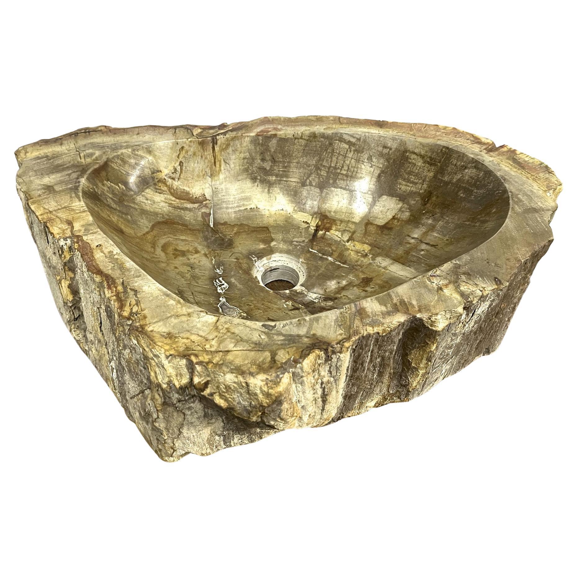 Petrified Wood Sink in Beige/ Gelb/ Brauntönen poliert, Top-Qualität