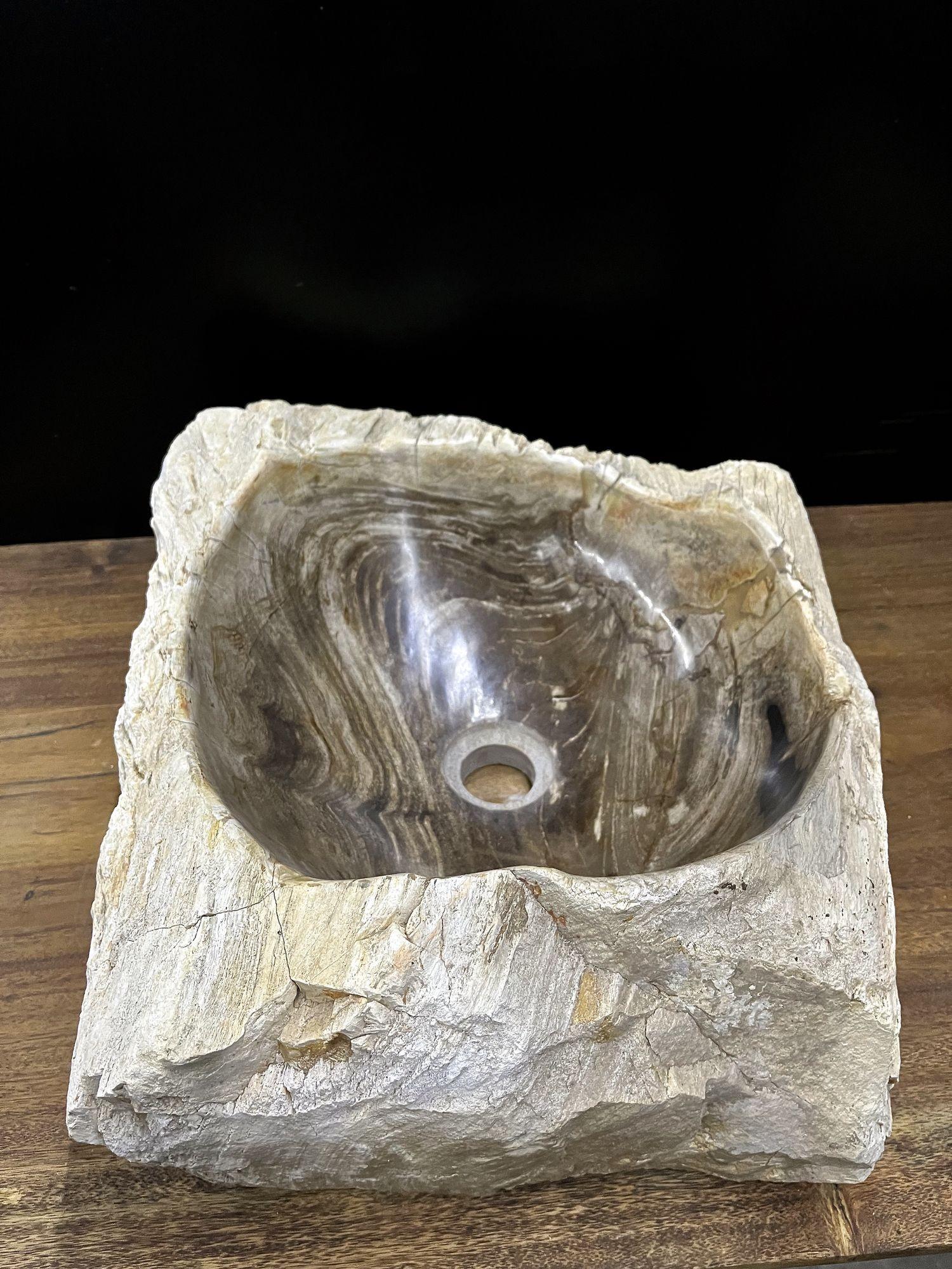 Contemporary Petrified Wood Sink in Brown/ Grey/ Beige Tones, Polished, Top Quality For Sale