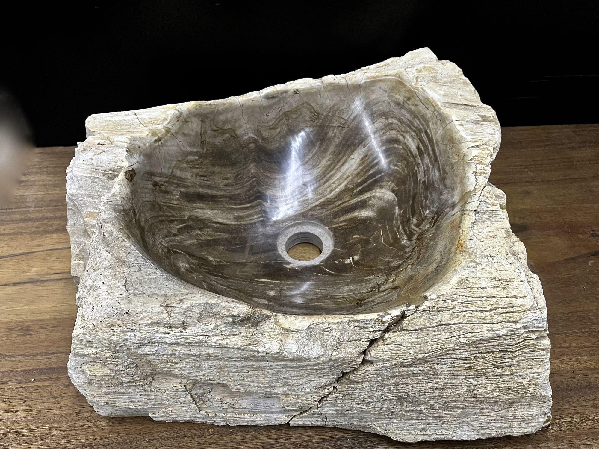 Petrified Wood Sink in Brown/ Grey/ Beige Tones, Polished, Top Quality For Sale 2