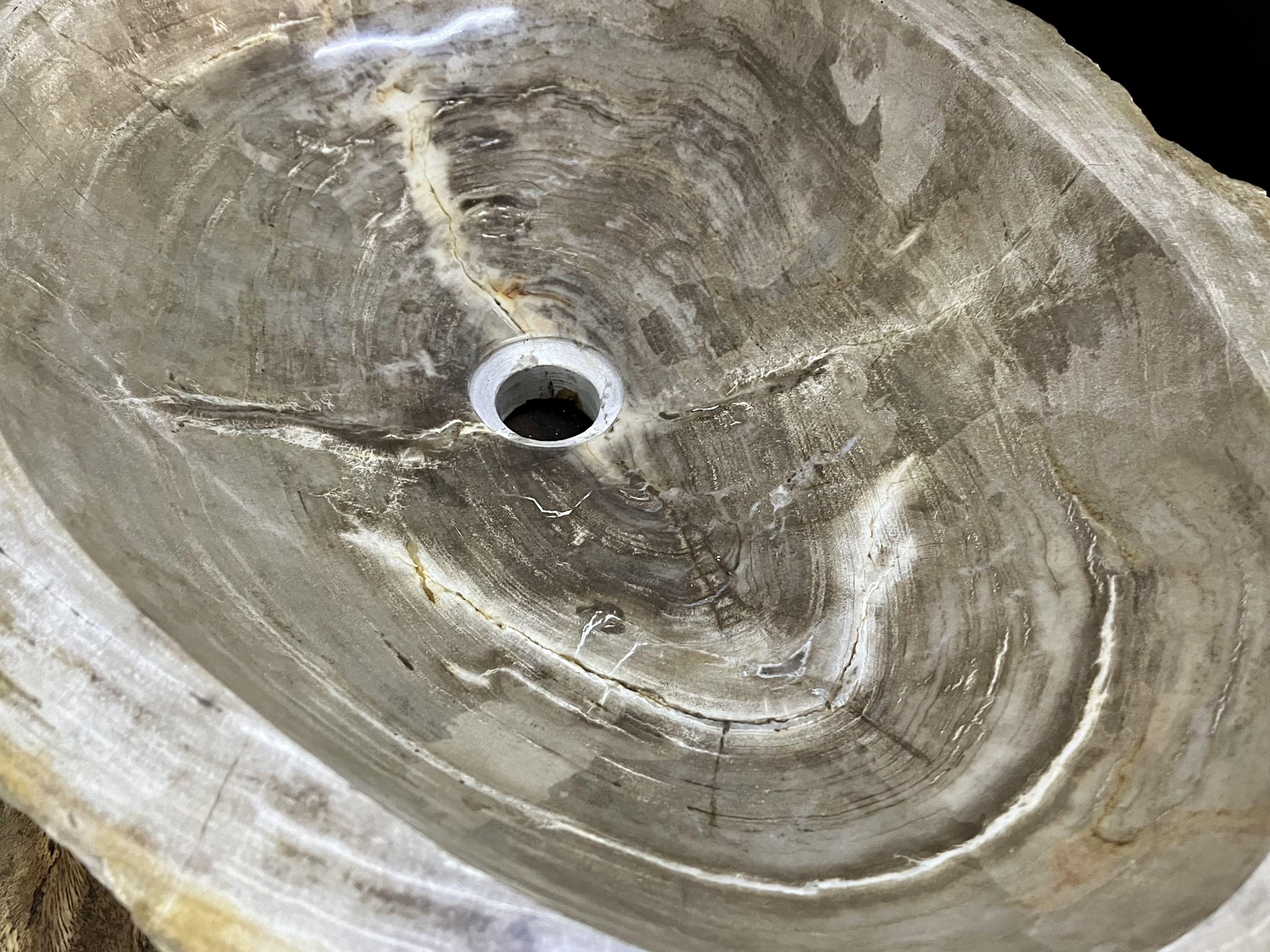 Petrified Wood Sink in Grey/ Beige Tones, Top Quality, Organic Modern, 2021 5