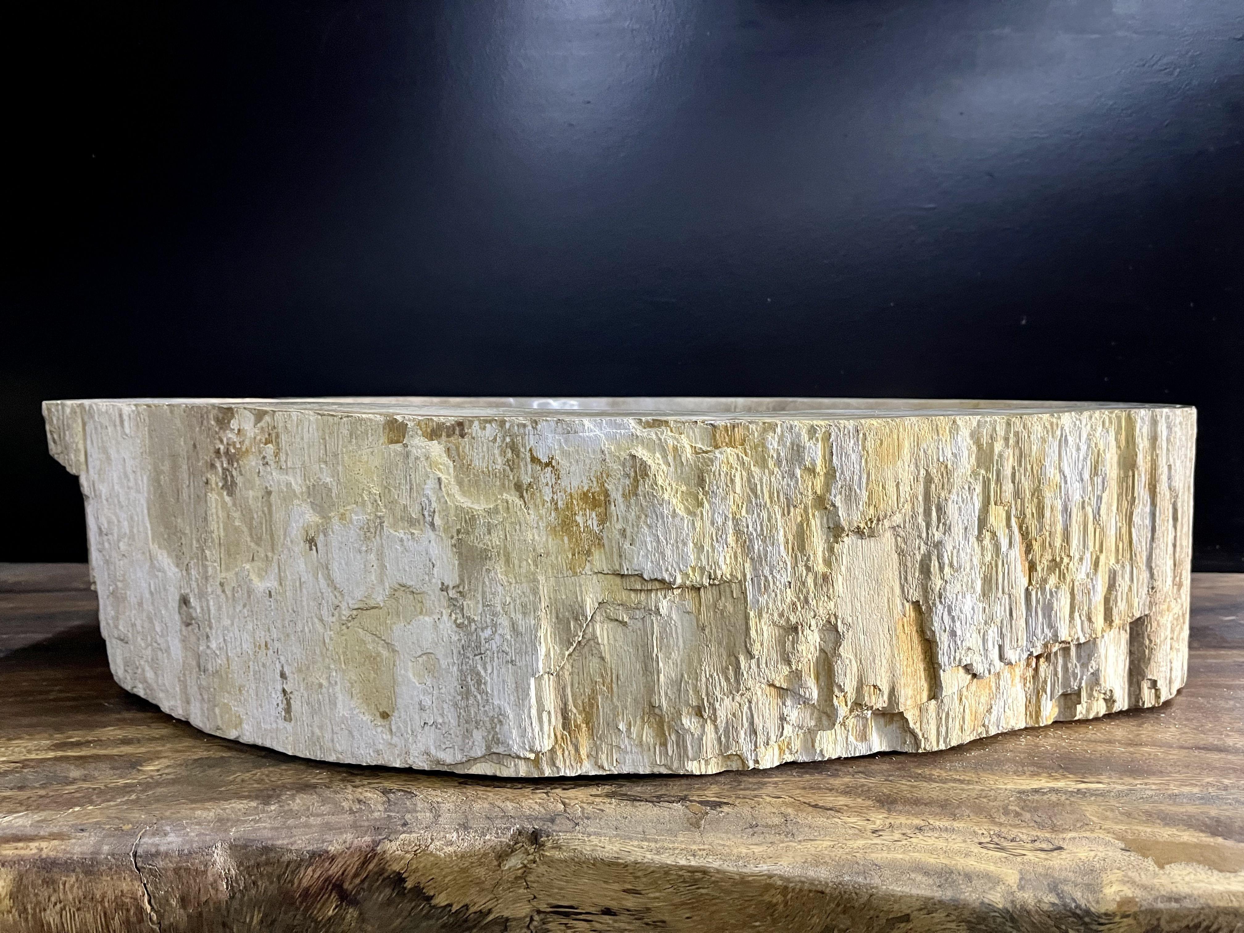 Petrified Wood Sink in Grey/ Beige Tones, Top Quality, Organic Modern, 2021 7