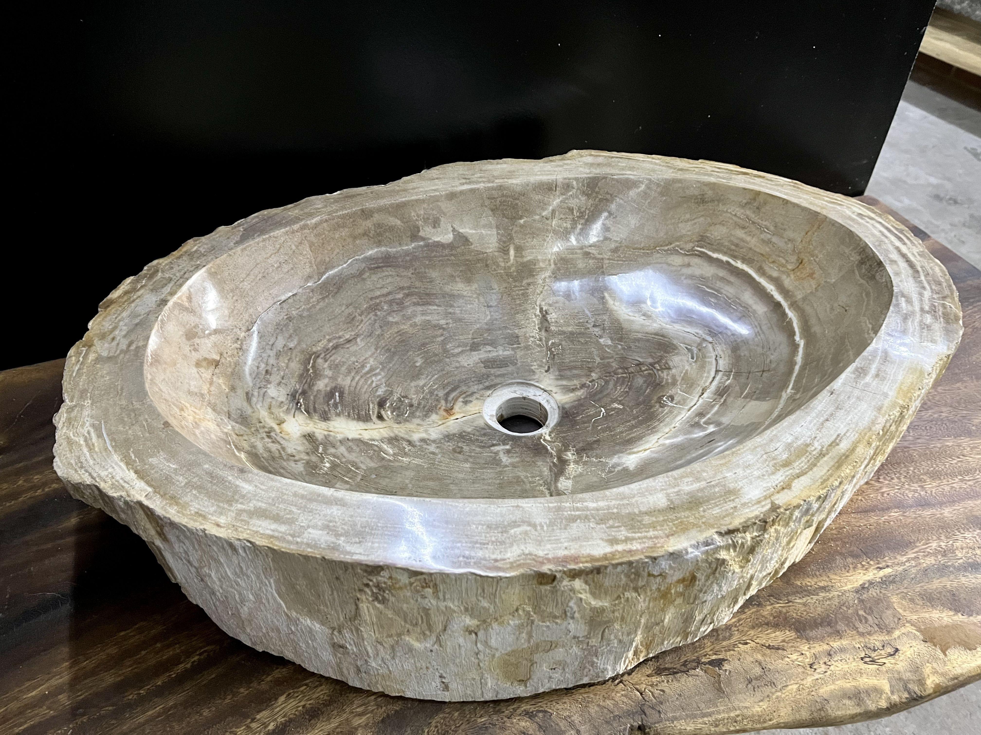 Indonesian Petrified Wood Sink in Grey/ Beige Tones, Top Quality, Organic Modern, 2021