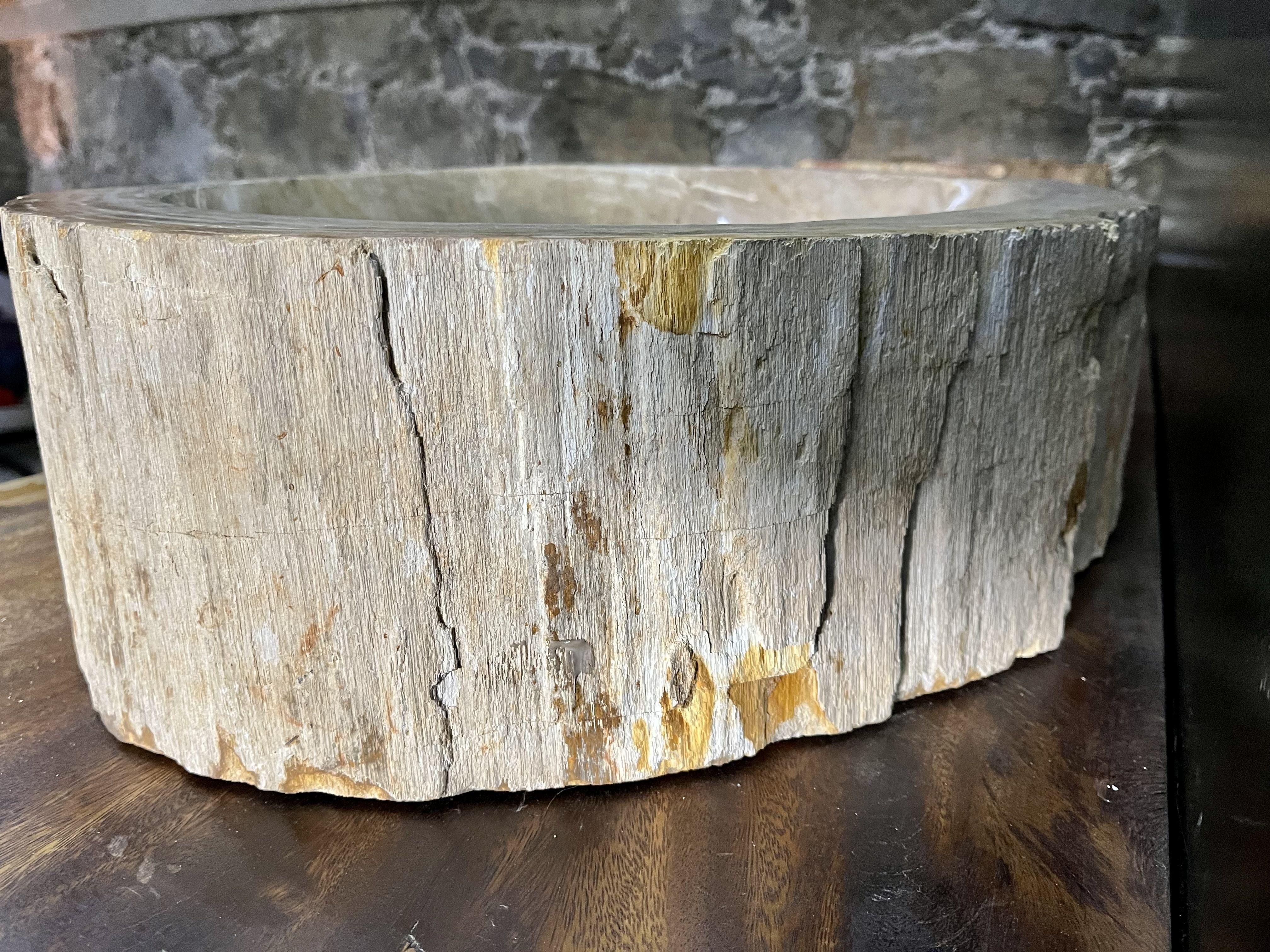 Petrified Wood Sink in Grey/ Beige Tones, Top Quality, Organic Modern, 2021 In Excellent Condition In Lichtenberg, AT