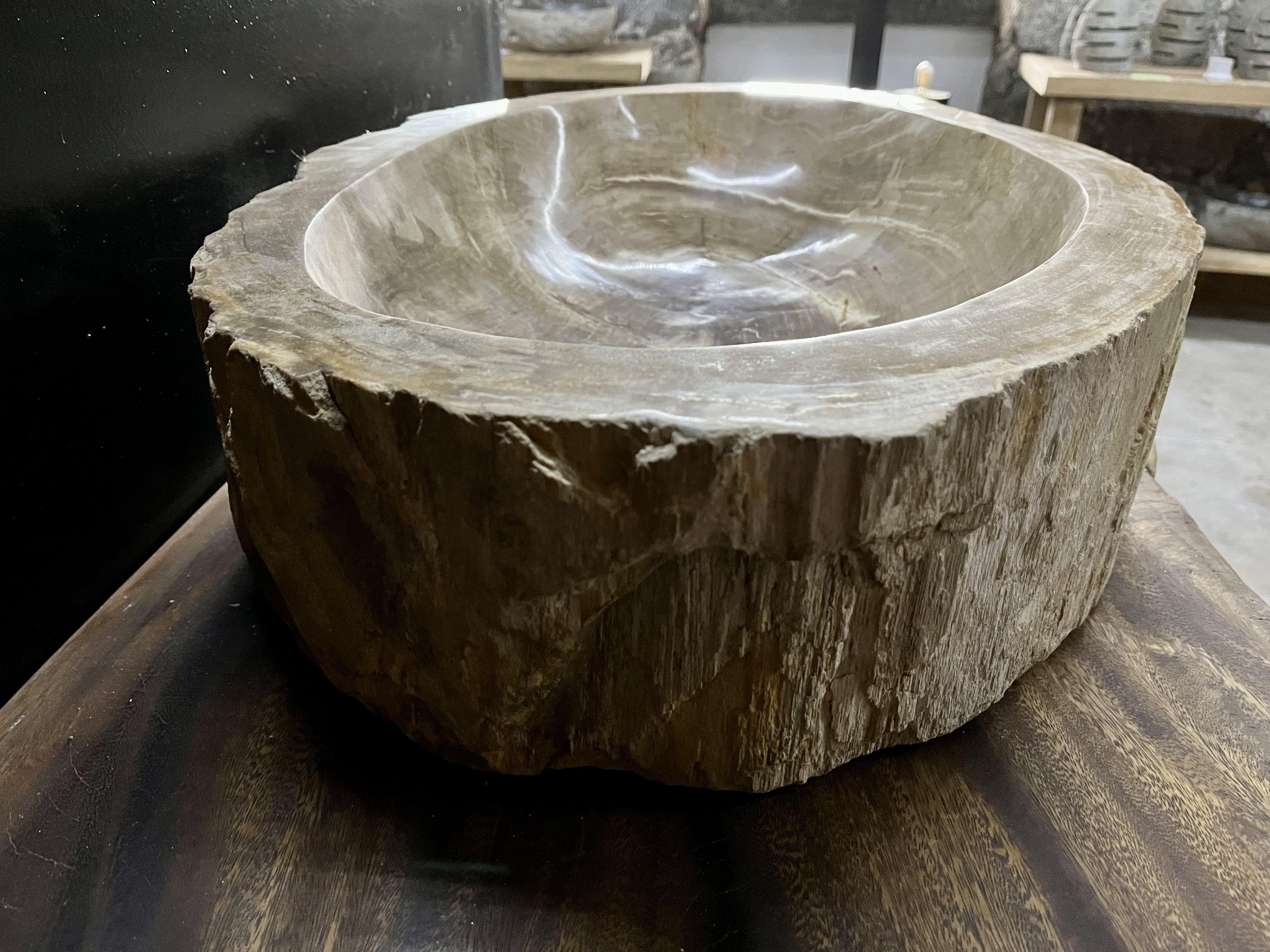 Petrified Wood Sink in Grey/ Beige Tones, Top Quality, Organic Modern, 2021 1