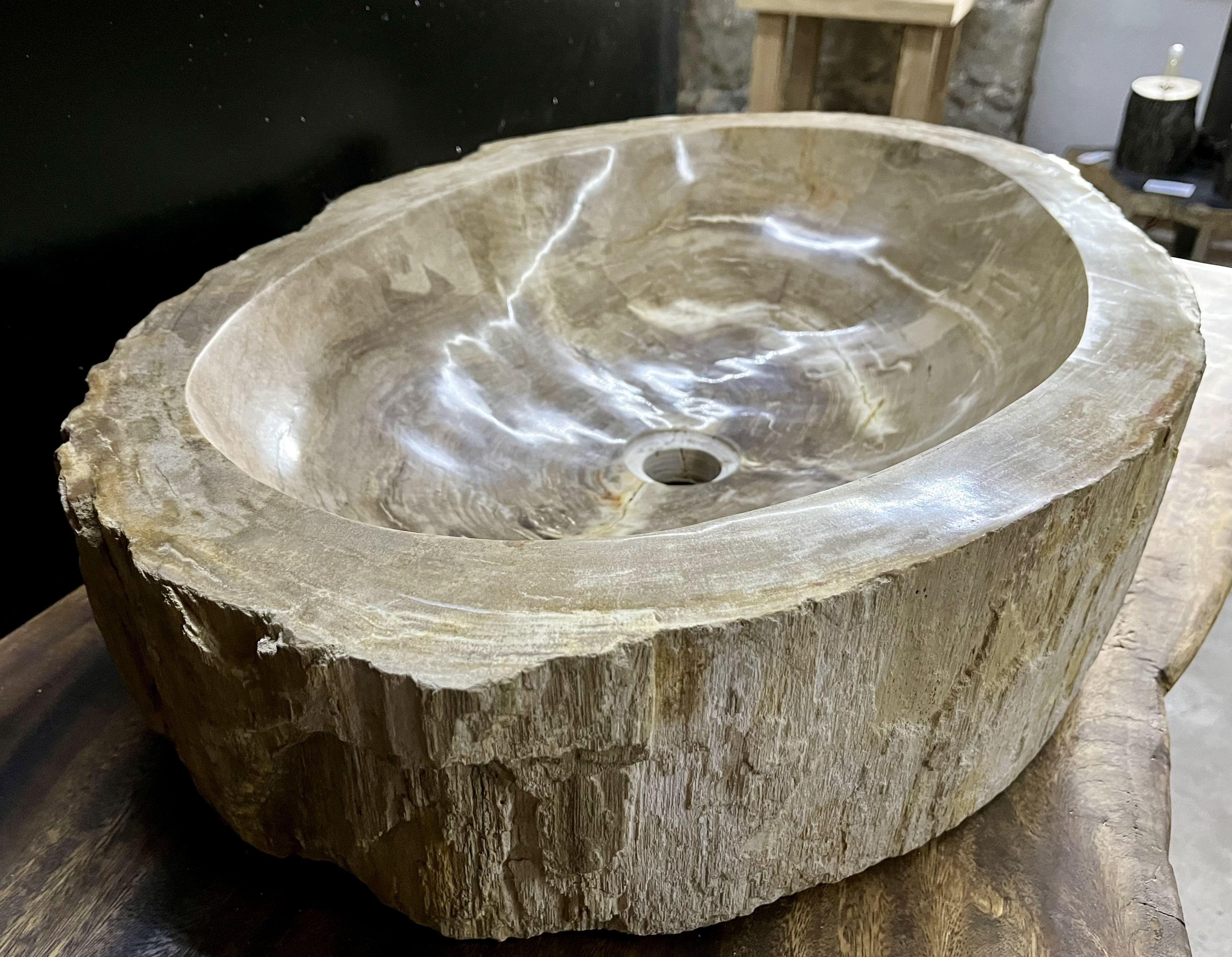 Petrified Wood Sink in Grey/ Beige Tones, Top Quality, Organic Modern, 2021 2