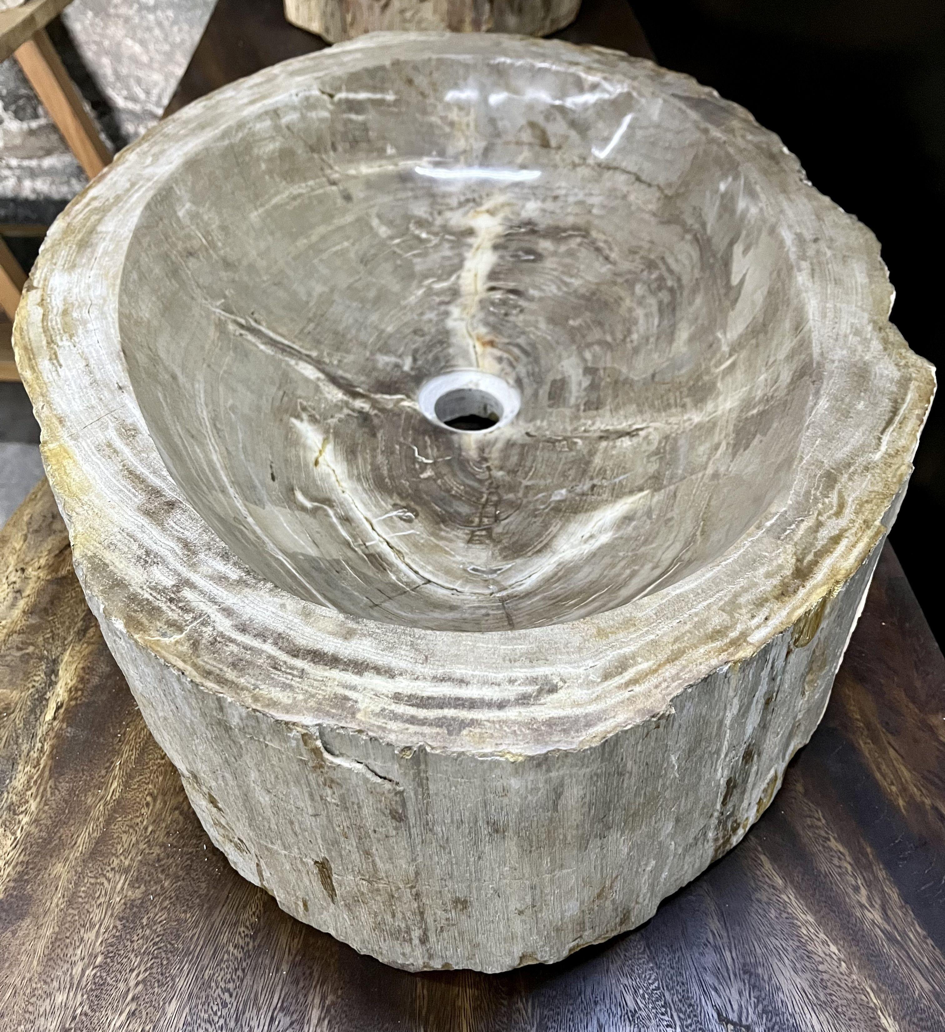 Petrified Wood Sink in Grey/ Beige Tones, Top Quality, Organic Modern, 2021 4