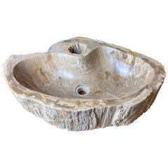 Petrified Wood Sink In Grey/ Beige Tones, Top Quality, Organic Modern, 2021