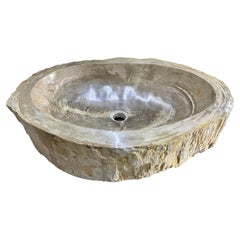 Petrified Wood Sink in Grey/ Beige Tones, Top Quality, Organic Modern, 2021