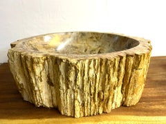 Petrified Wood Sink, Modern Organic - Grey/ Brown/ Beige - polished, IDN 2025