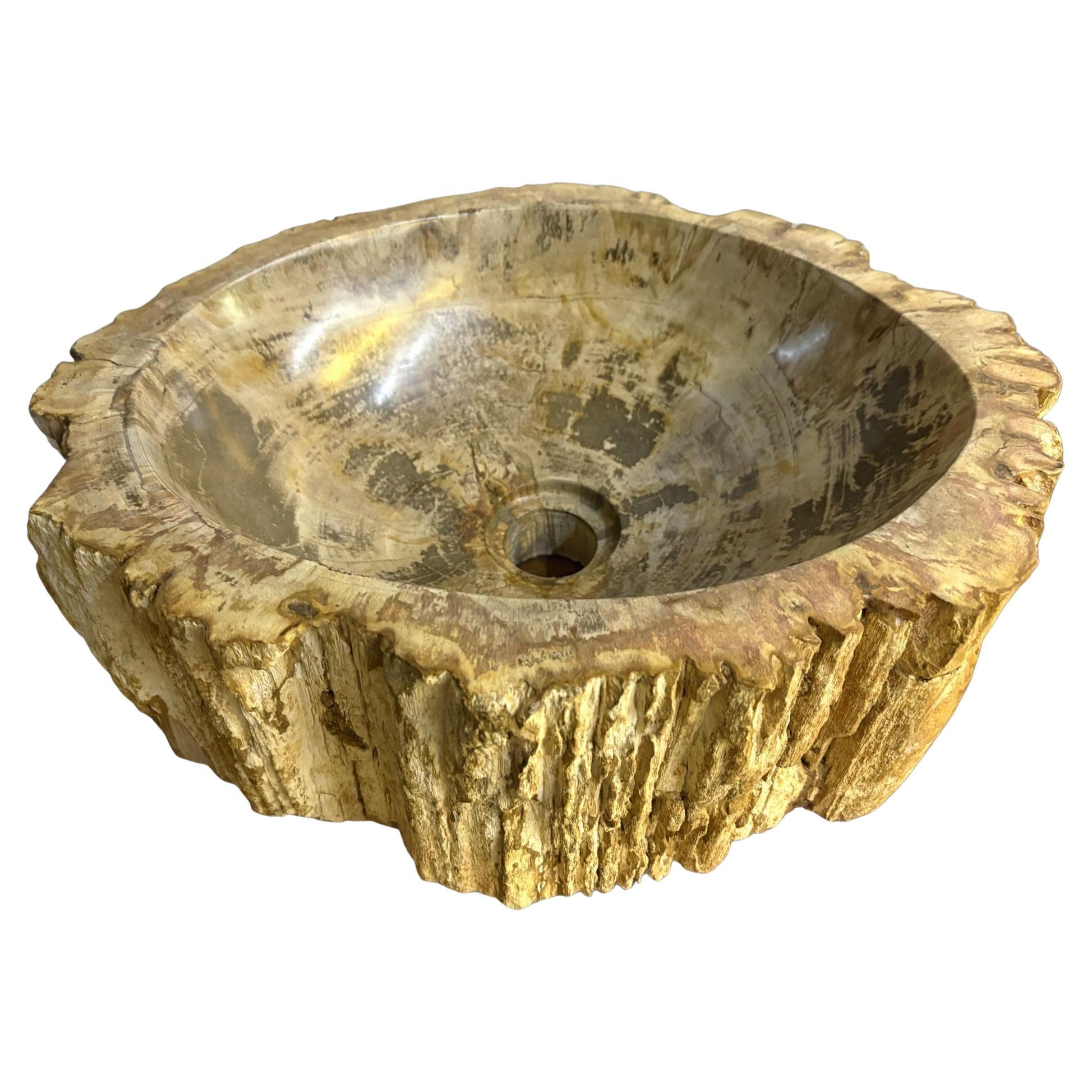 Lavello in Wood Pietrificato, Moderno Organico - Grigio/ Marrone/ Beige - lucido, IDN 2025