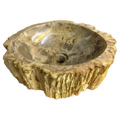 Petrified Wood Sink, Modern Organic - Grey/ Brown/ Beige - polished, IDN 2025