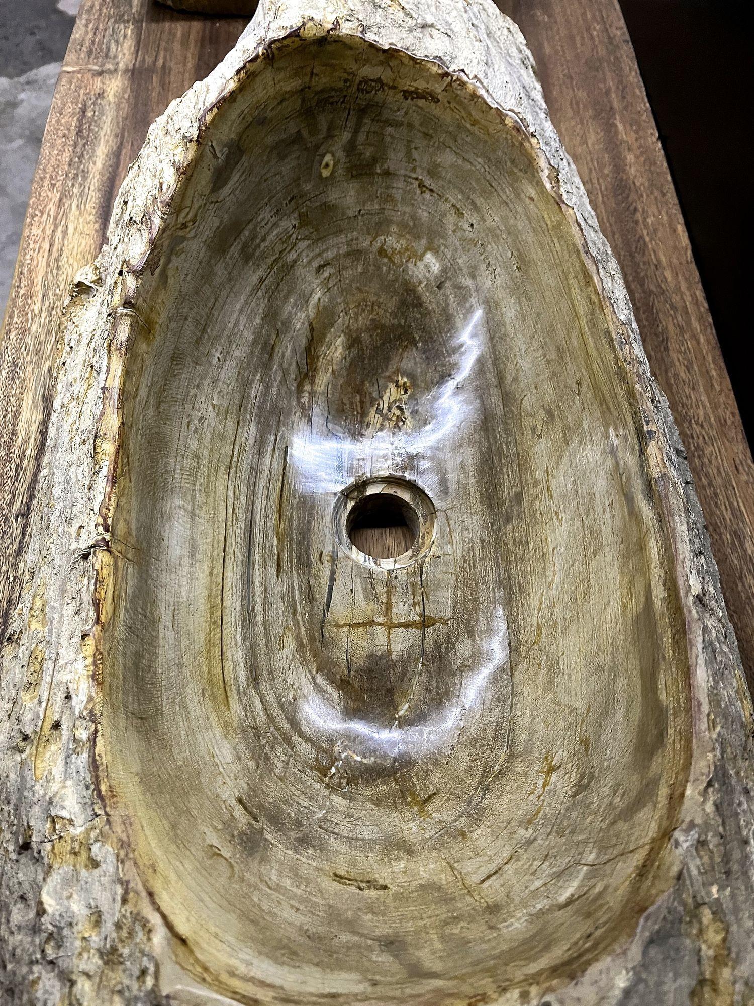 Petrified Wood Sink Organic Modern in Grey/ Beige/ Brown Tones, Top Quality For Sale 4