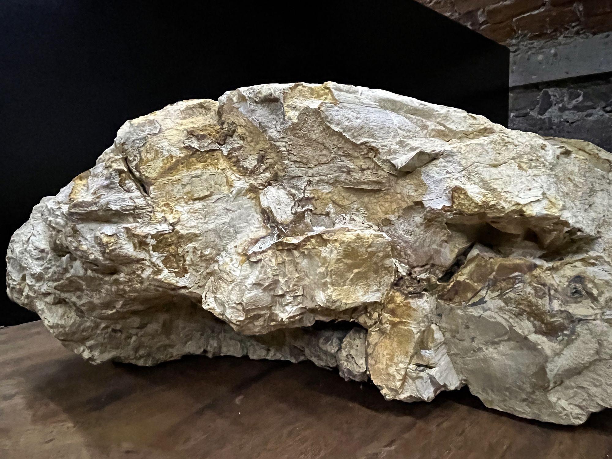 Petrified Wood Sink Organic Modern in Grey/ Beige/ Brown Tones, Top Quality For Sale 5