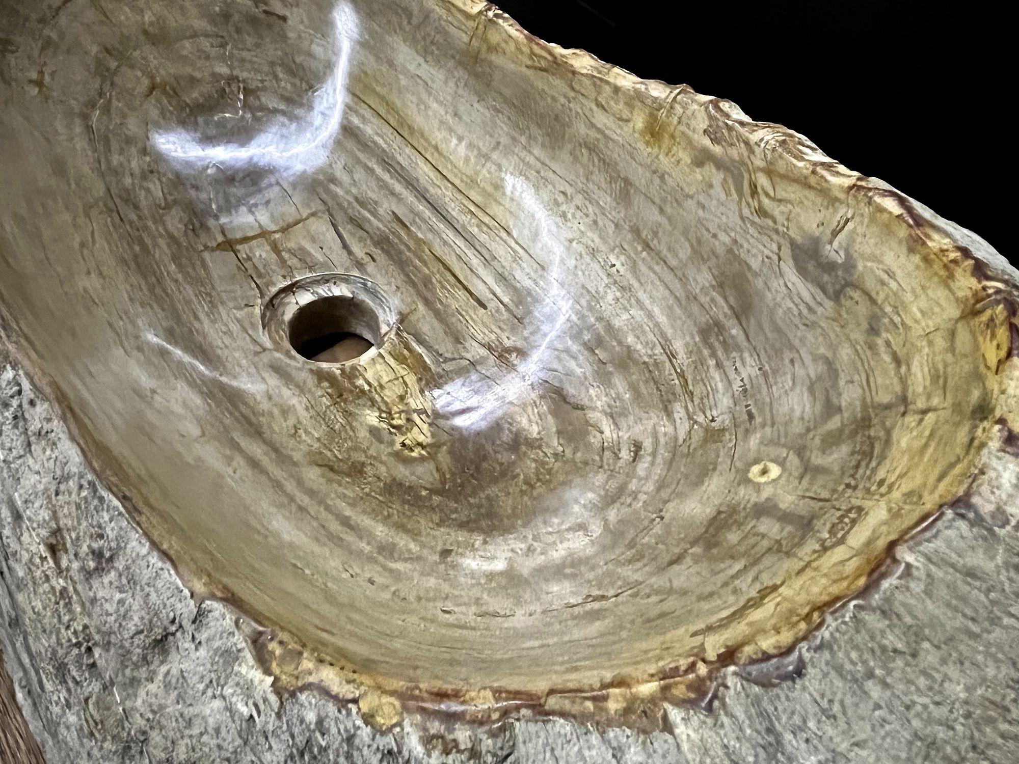 Indonesian Petrified Wood Sink Organic Modern in Grey/ Beige/ Brown Tones, Top Quality For Sale