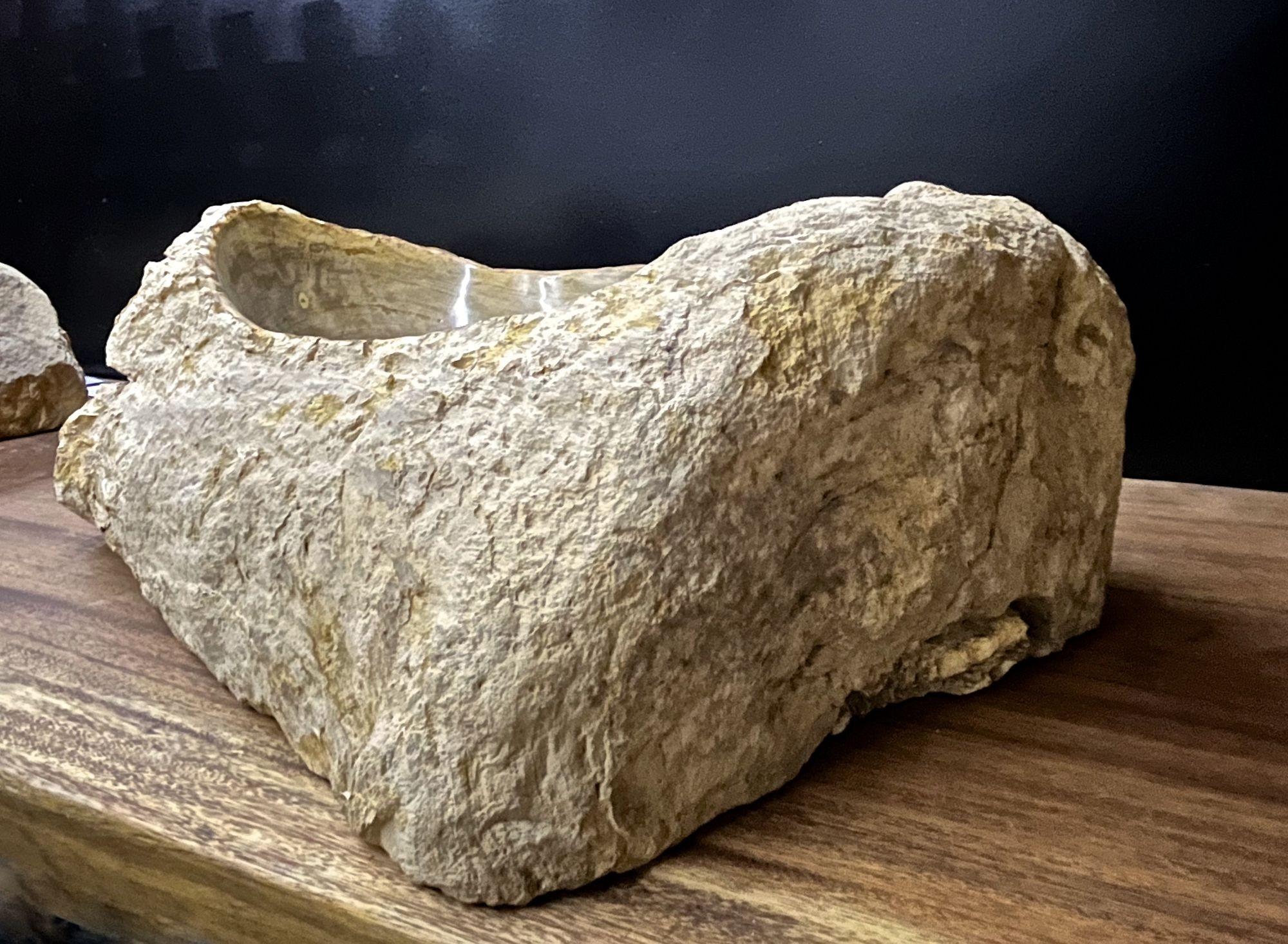 Polished Petrified Wood Sink Organic Modern in Grey/ Beige/ Brown Tones, Top Quality For Sale