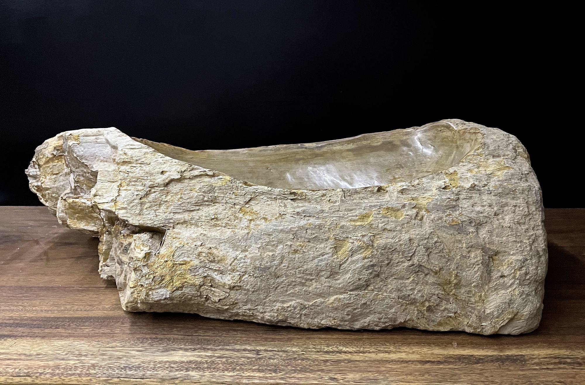 Petrified Wood Sink Organic Modern in Grey/ Beige/ Brown Tones, Top Quality In Excellent Condition For Sale In Lichtenberg, AT