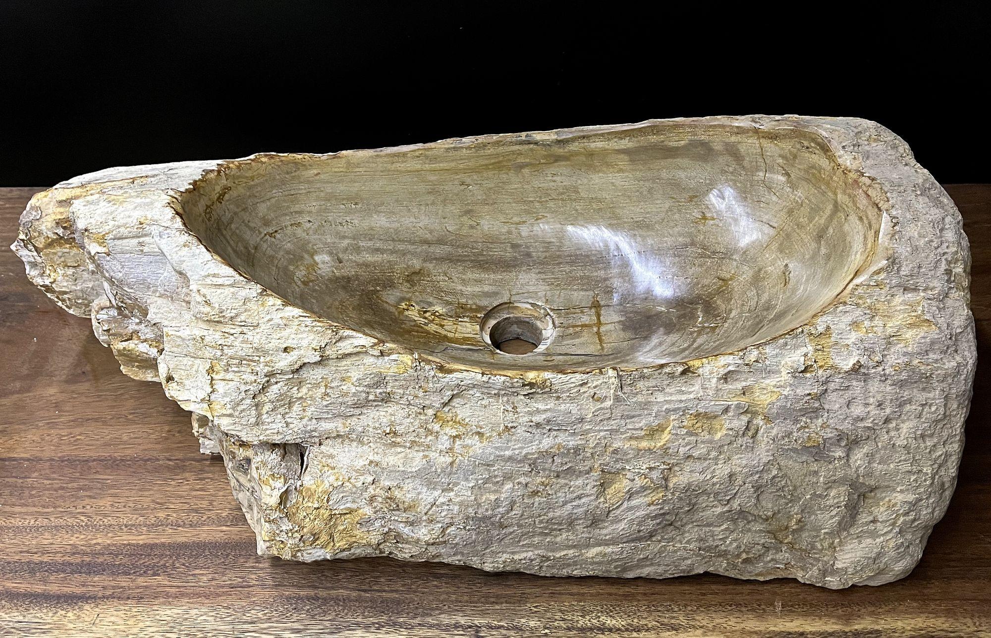 Contemporary Petrified Wood Sink Organic Modern in Grey/ Beige/ Brown Tones, Top Quality For Sale
