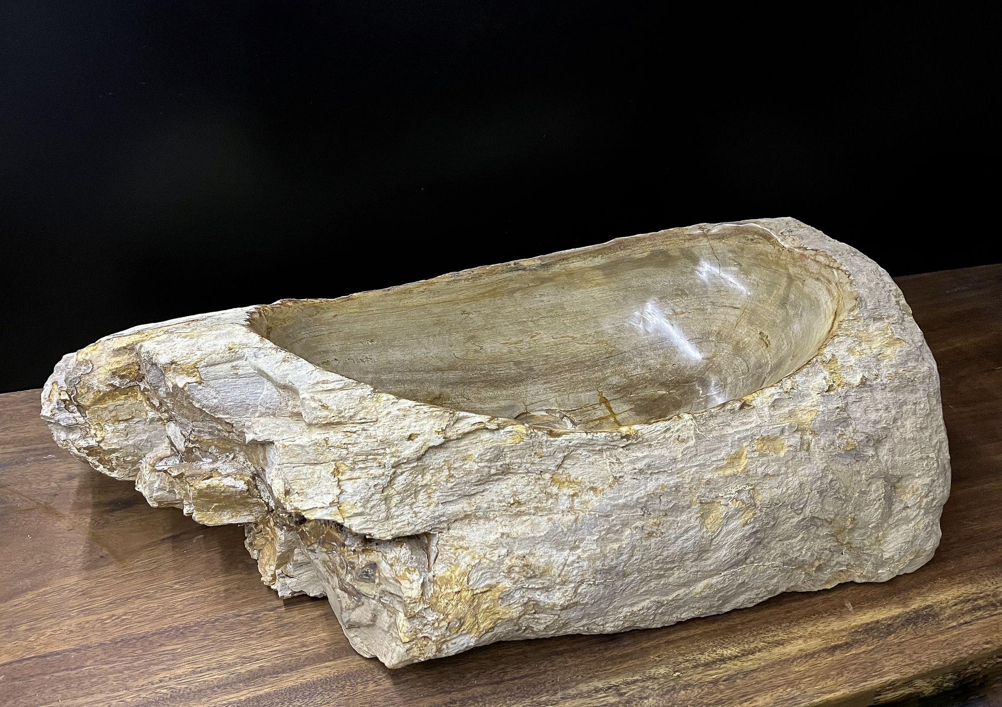 Petrified Wood Sink Organic Modern in Grey/ Beige/ Brown Tones, Top Quality For Sale 1