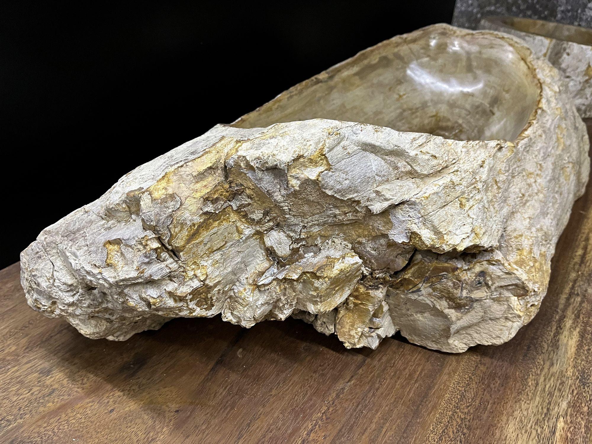 Petrified Wood Sink Organic Modern in Grey/ Beige/ Brown Tones, Top Quality For Sale 2