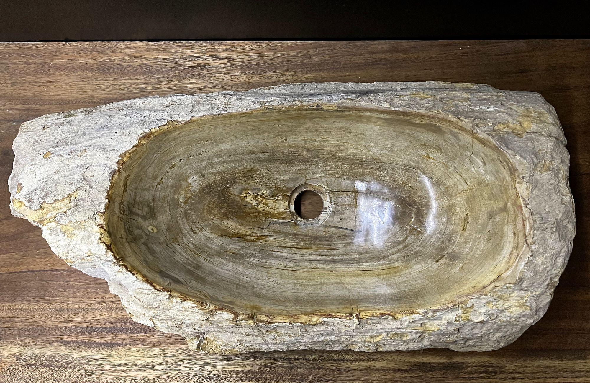 Petrified Wood Sink Organic Modern in Grey/ Beige/ Brown Tones, Top Quality For Sale 3