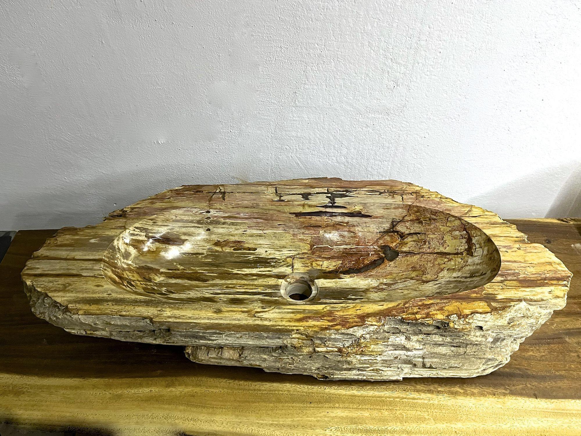 Petrified Wood Sink, Top Quality in Beige/ Brown/ Pink Tones For Sale 2