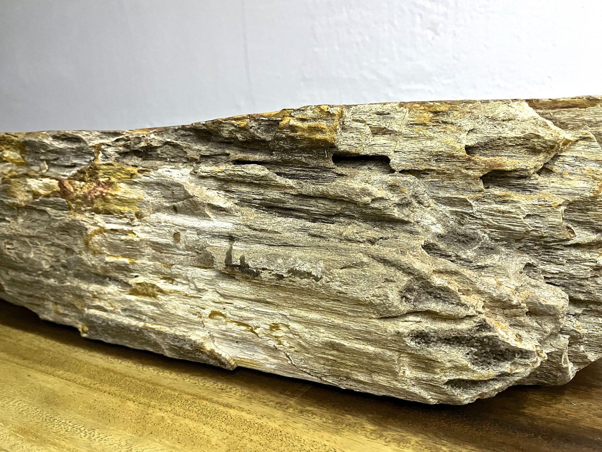Petrified Wood Sink, Top Quality in Beige/ Brown/ Pink Tones For Sale 4