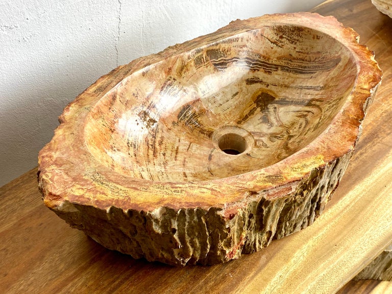 Petrified Wood Sink Top Quality In, Wooden Sink Bowl Turning