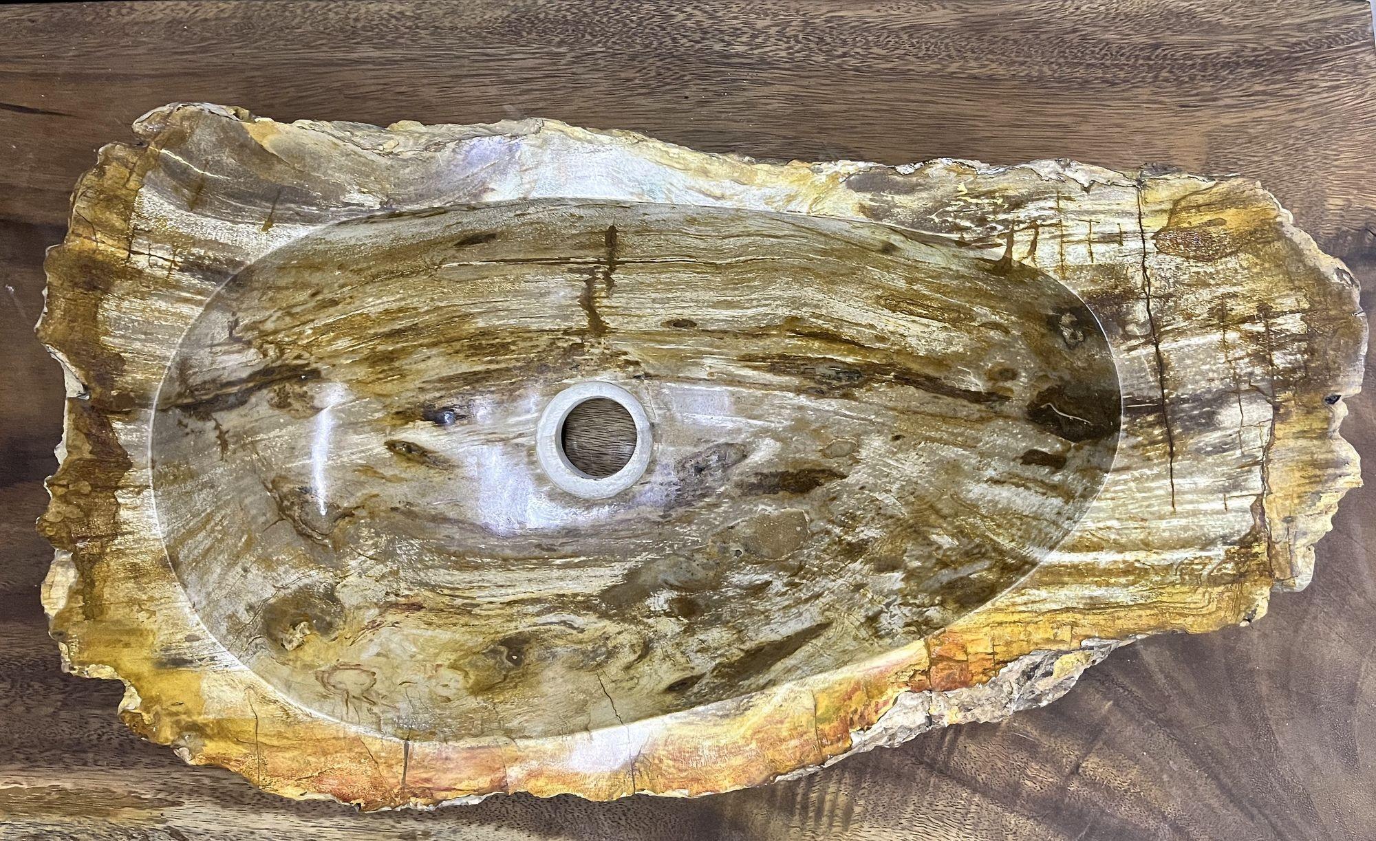 Indonesian Petrified Wood Sink, Top Quality in Beige / Brown / Yellow Tones For Sale